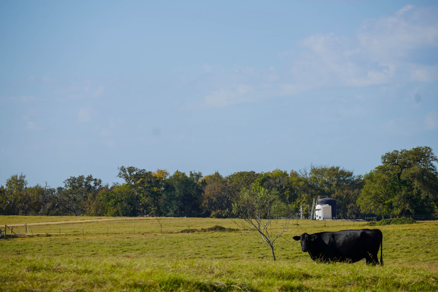 Long Hollow Ranch property picture 27 of 36