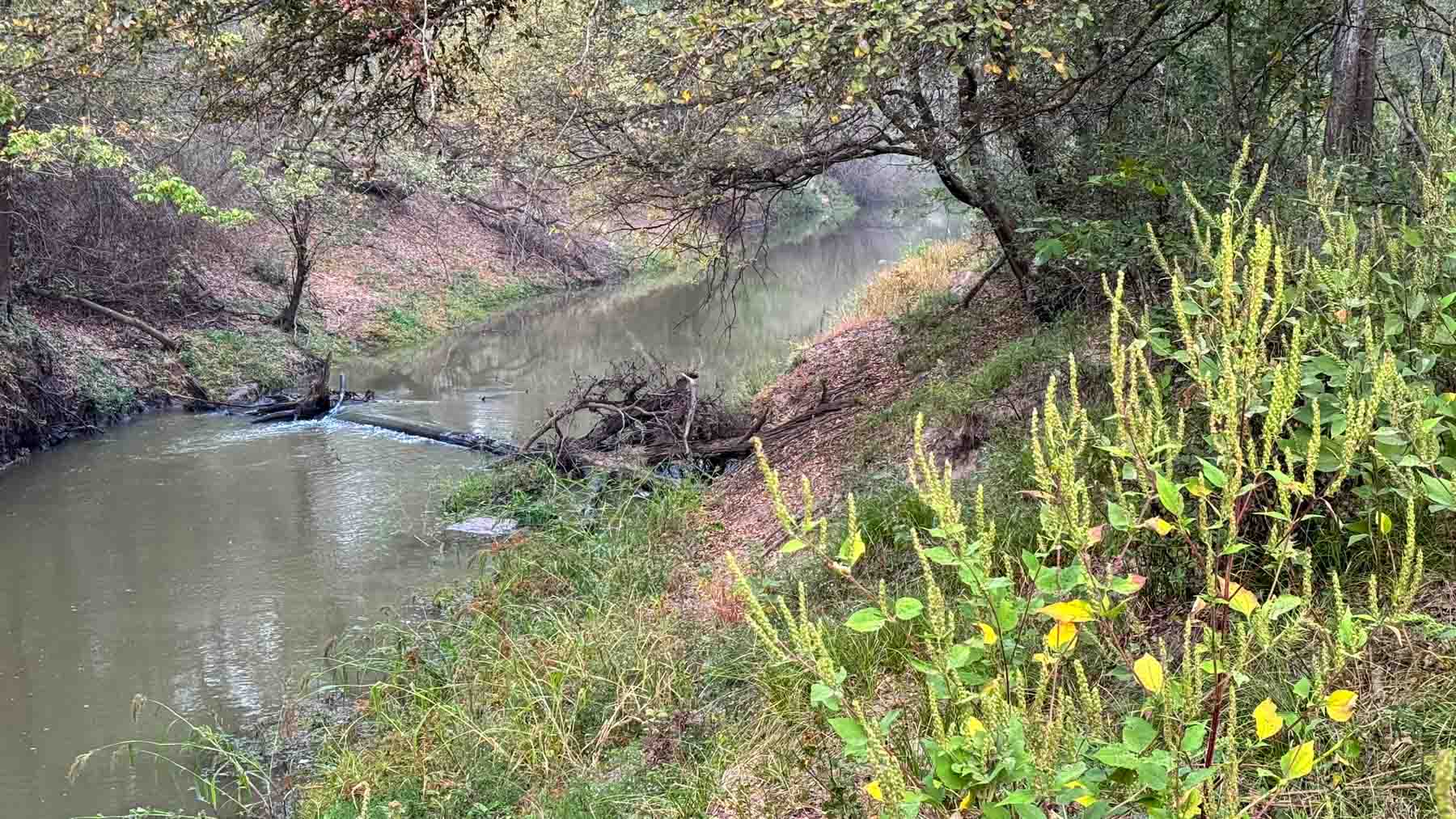 Long Hollow Ranch property picture 10 of 36