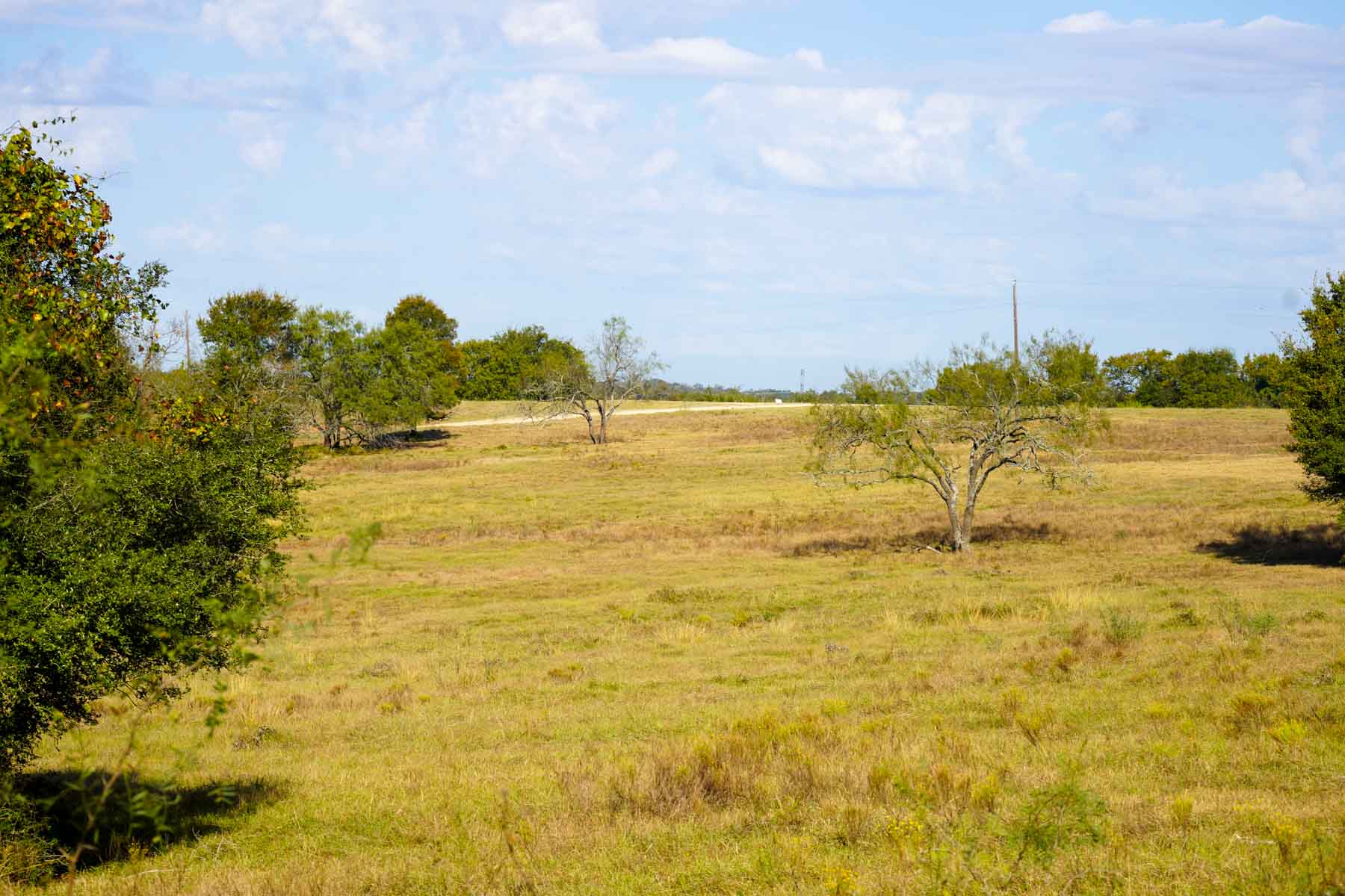 Long Hollow Ranch property picture 24 of 36