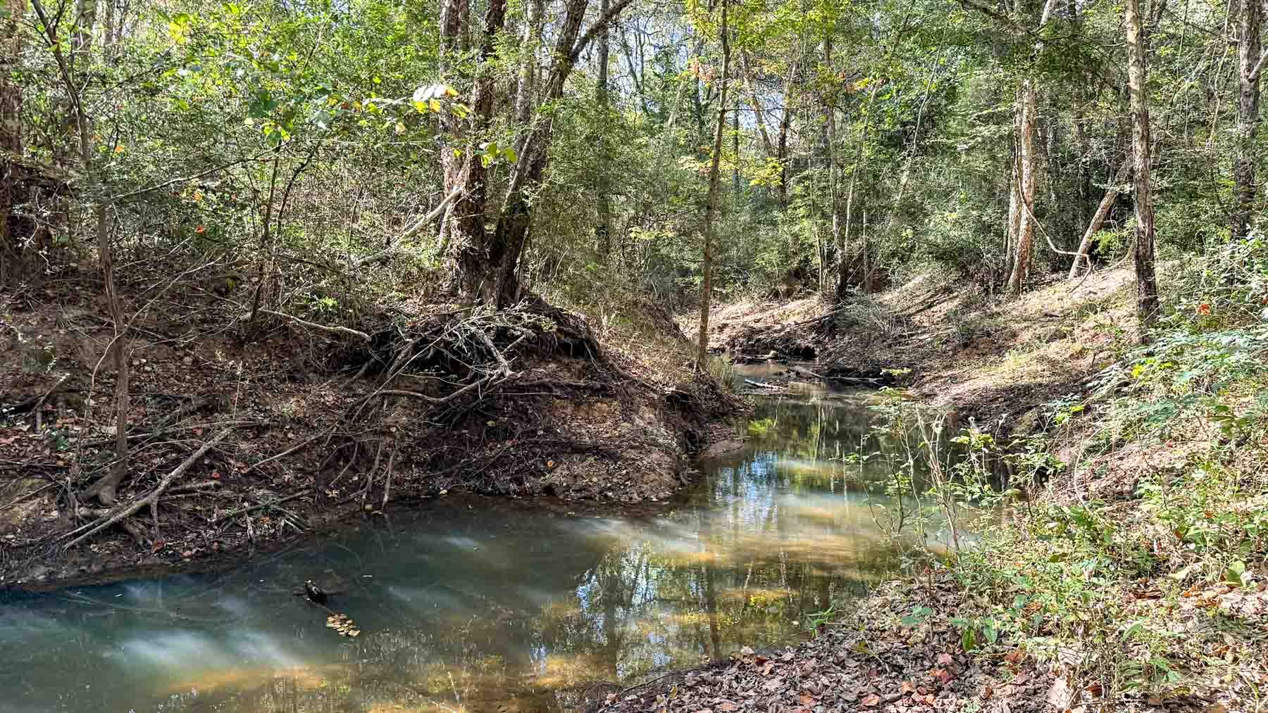 Long Hollow Ranch property picture 7 of 36