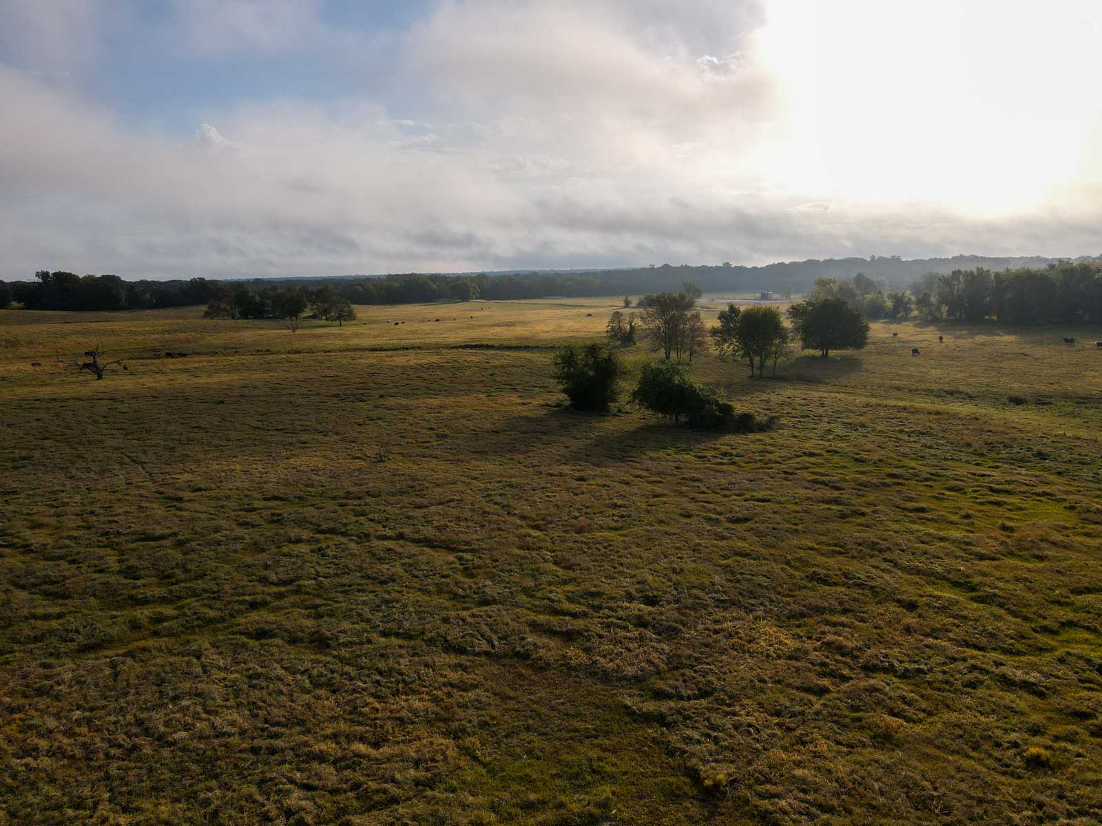 Long Hollow Ranch property picture 26 of 36