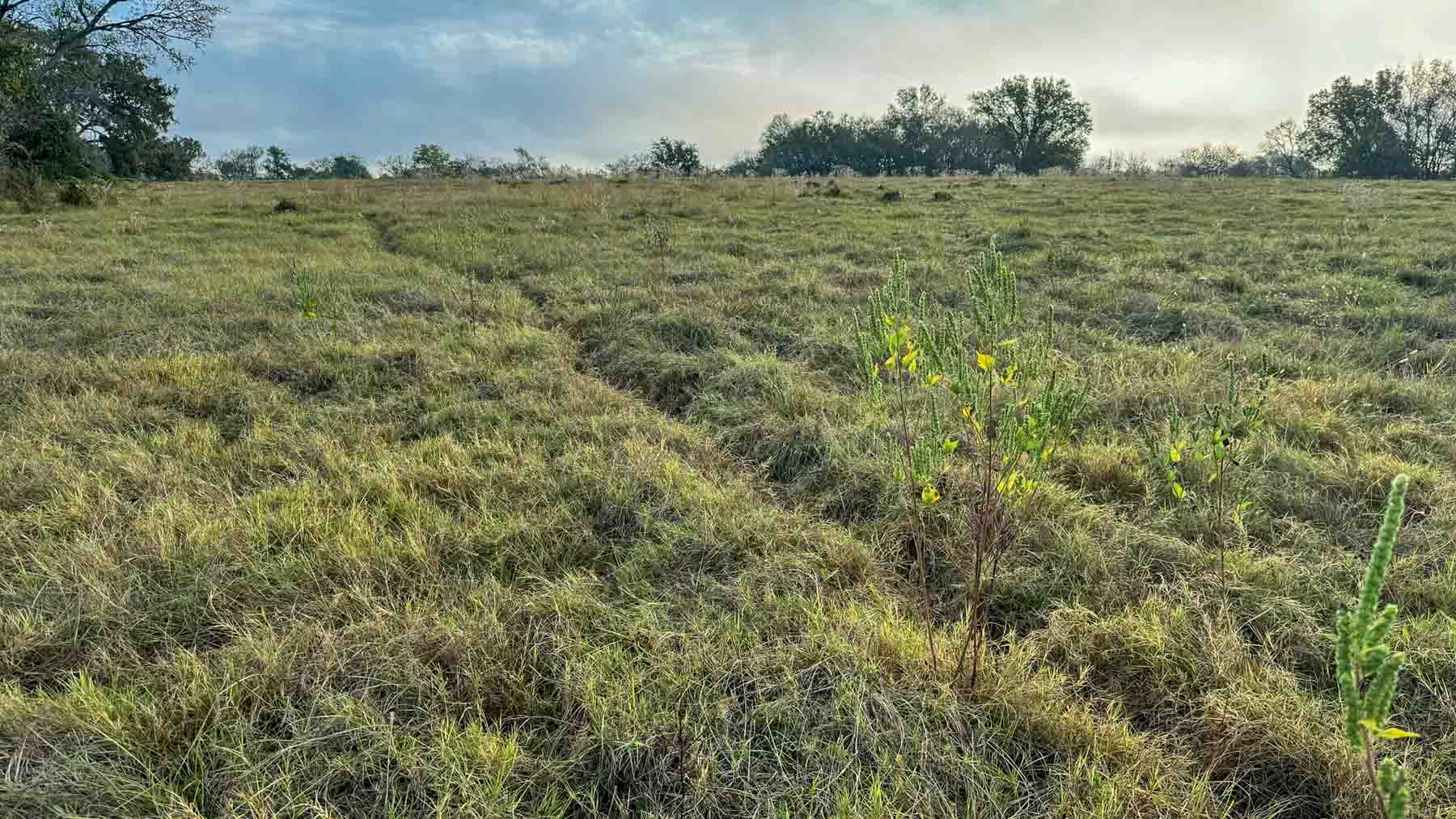 Long Hollow Ranch property picture 34 of 36