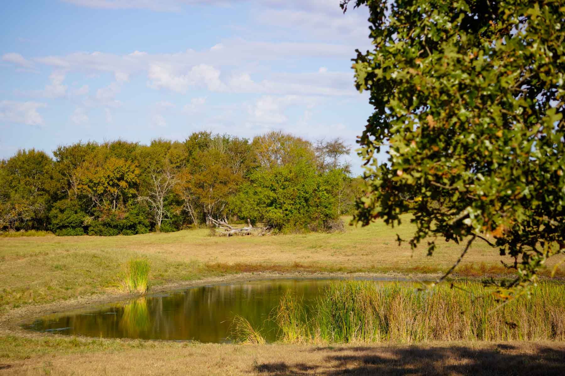 Long Hollow Ranch property picture 25 of 36