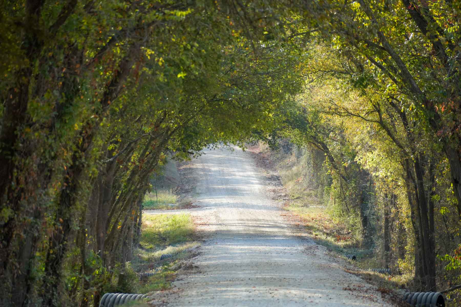Long Hollow Ranch property picture 17 of 36