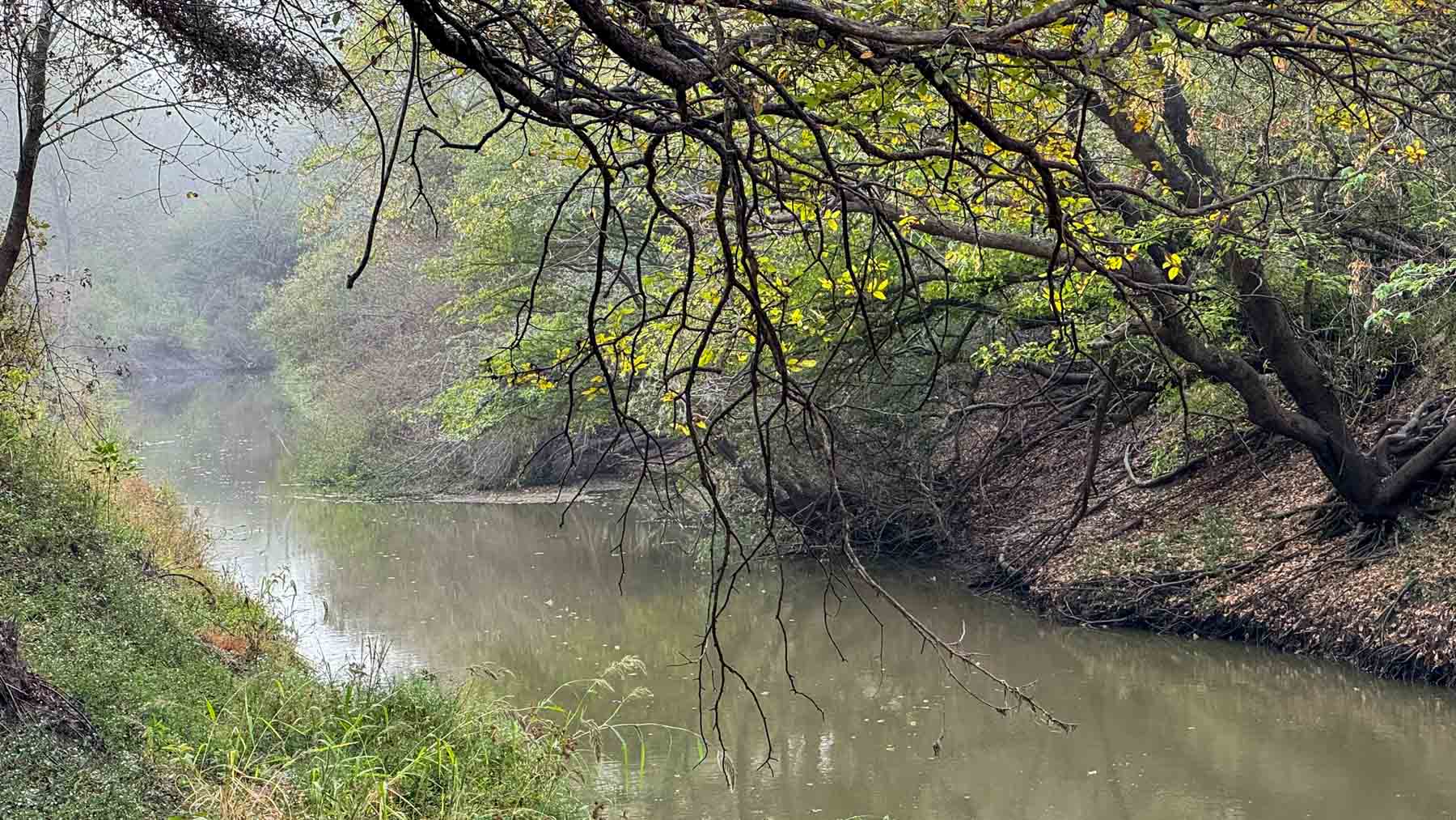 Long Hollow Ranch property picture 6 of 36