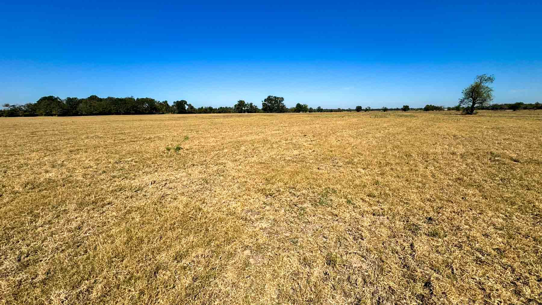 Highway 79 property picture 5 of 15