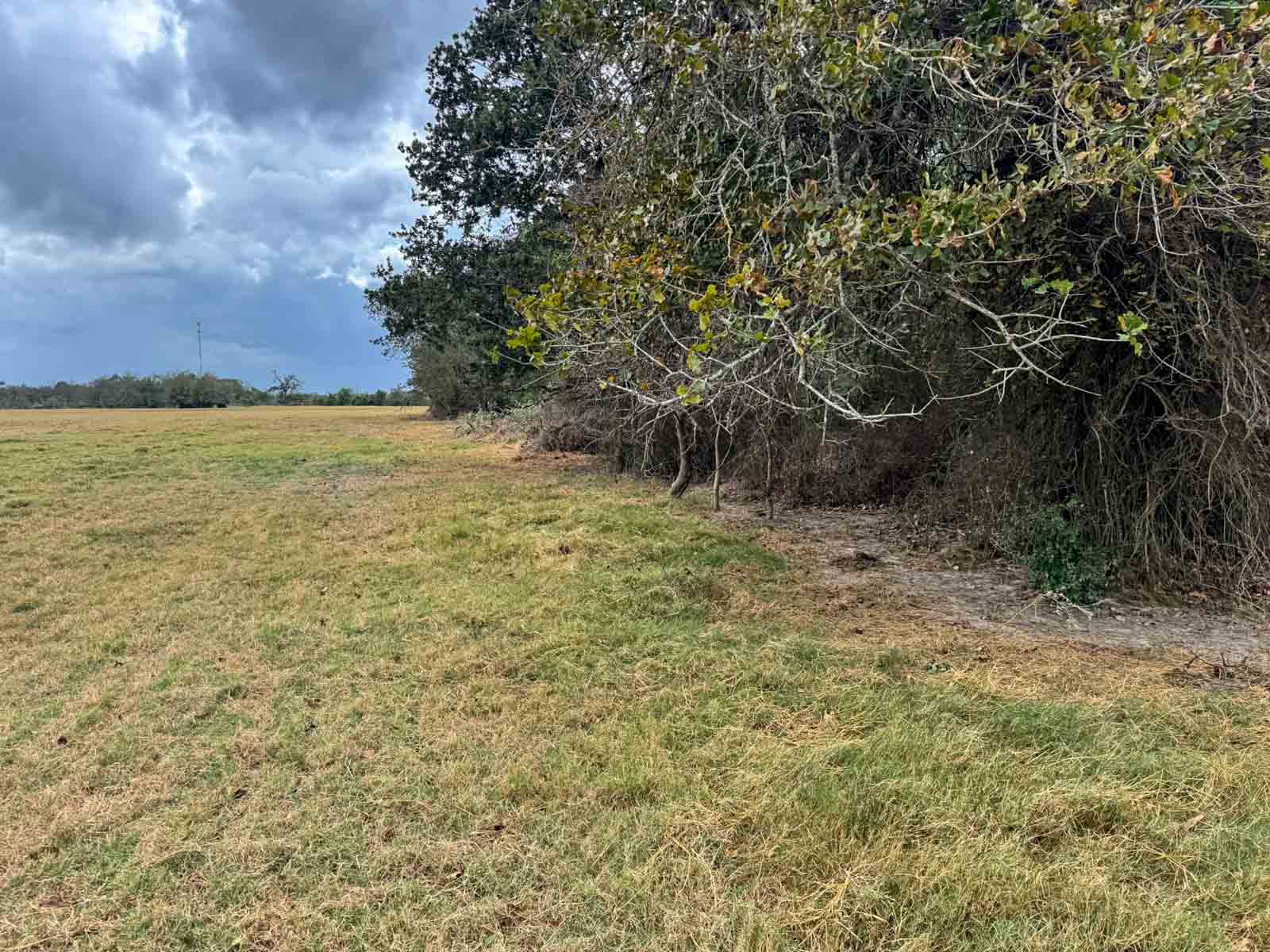 Highway 79 property picture 15 of 15