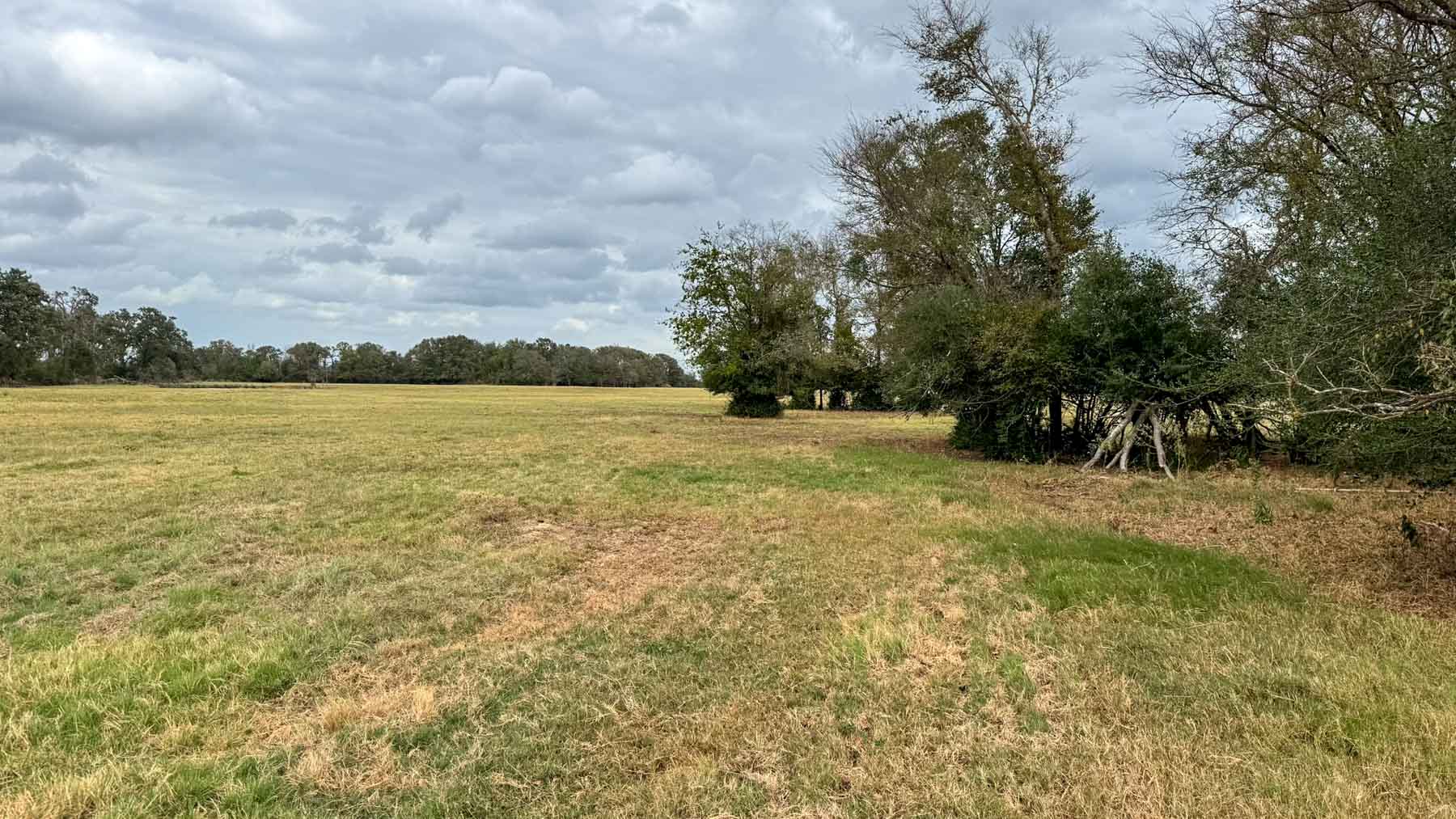 Highway 79 property picture 12 of 15