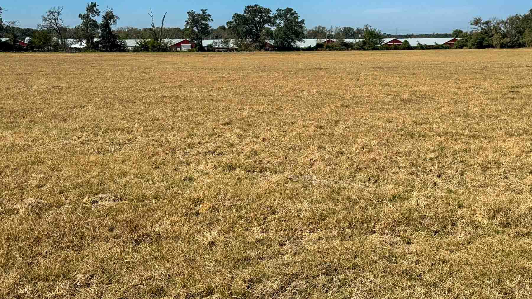 Highway 79 property picture 4 of 15