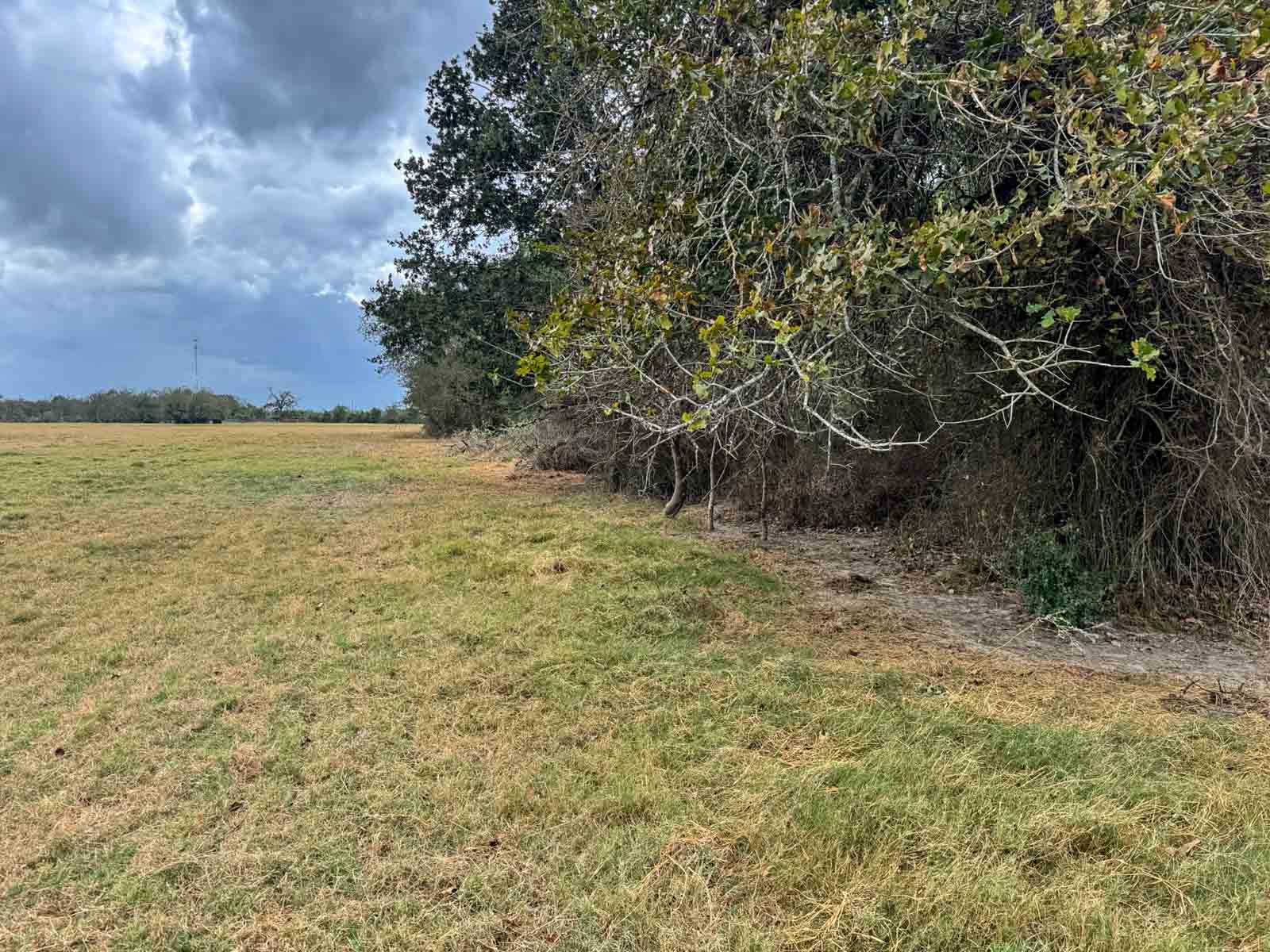 Highway 79 property picture 9 of 15