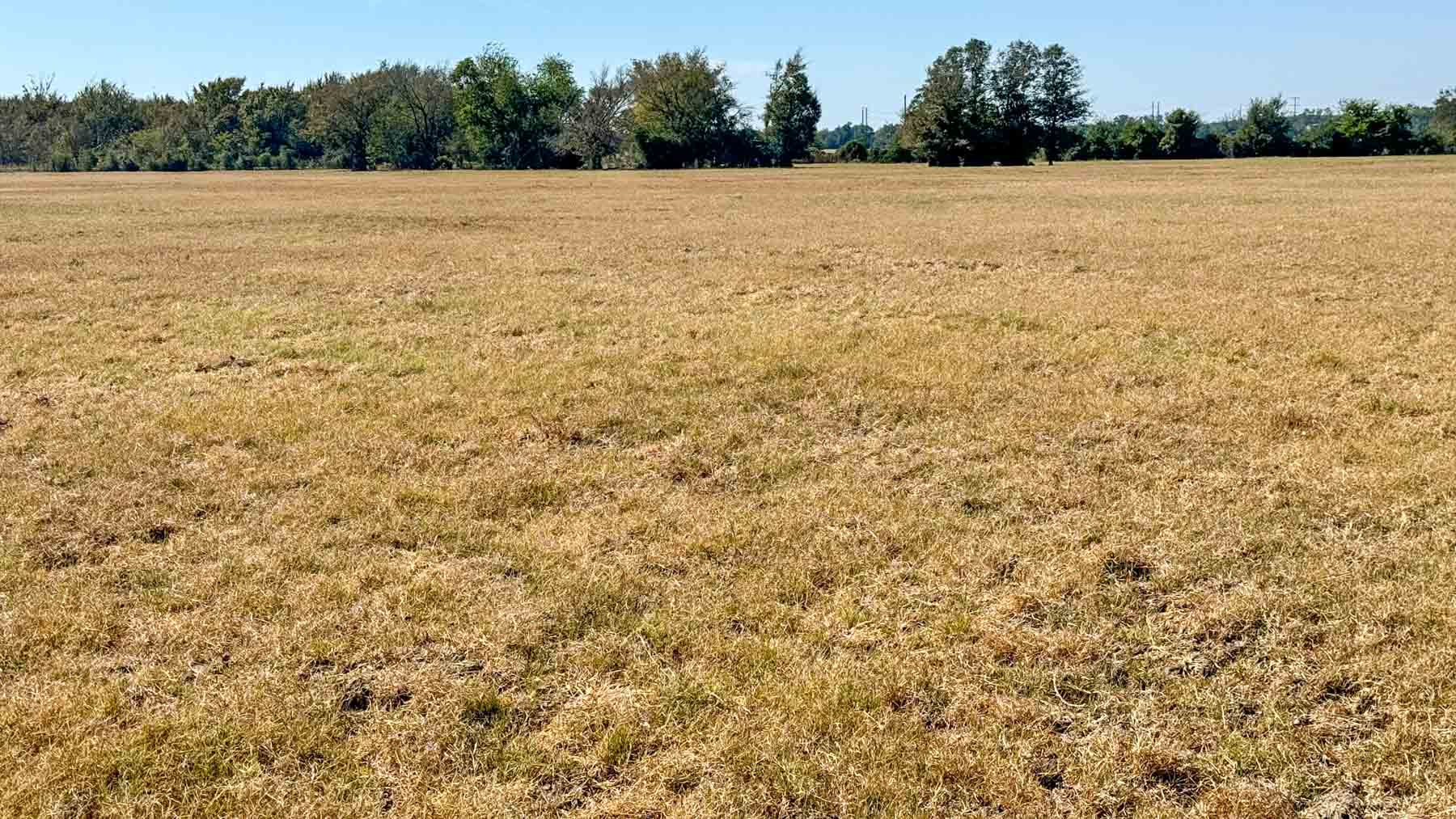 Highway 79 property picture 7 of 15