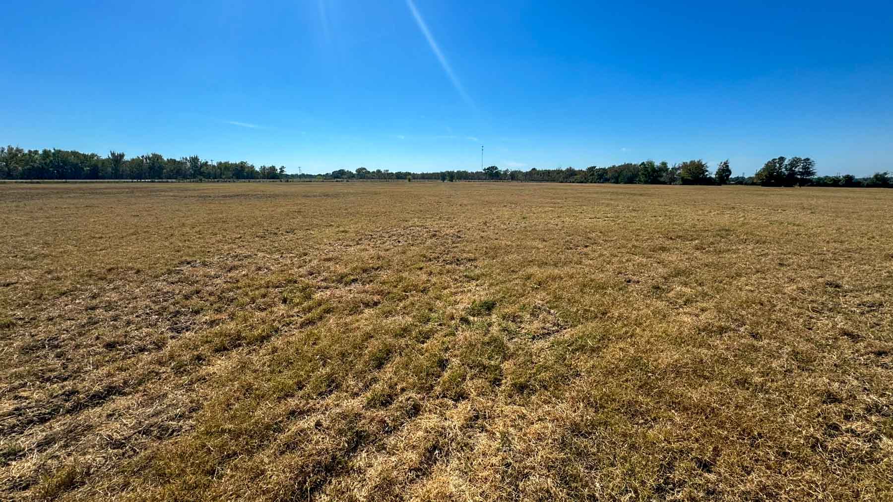 Highway 79 property picture 8 of 15