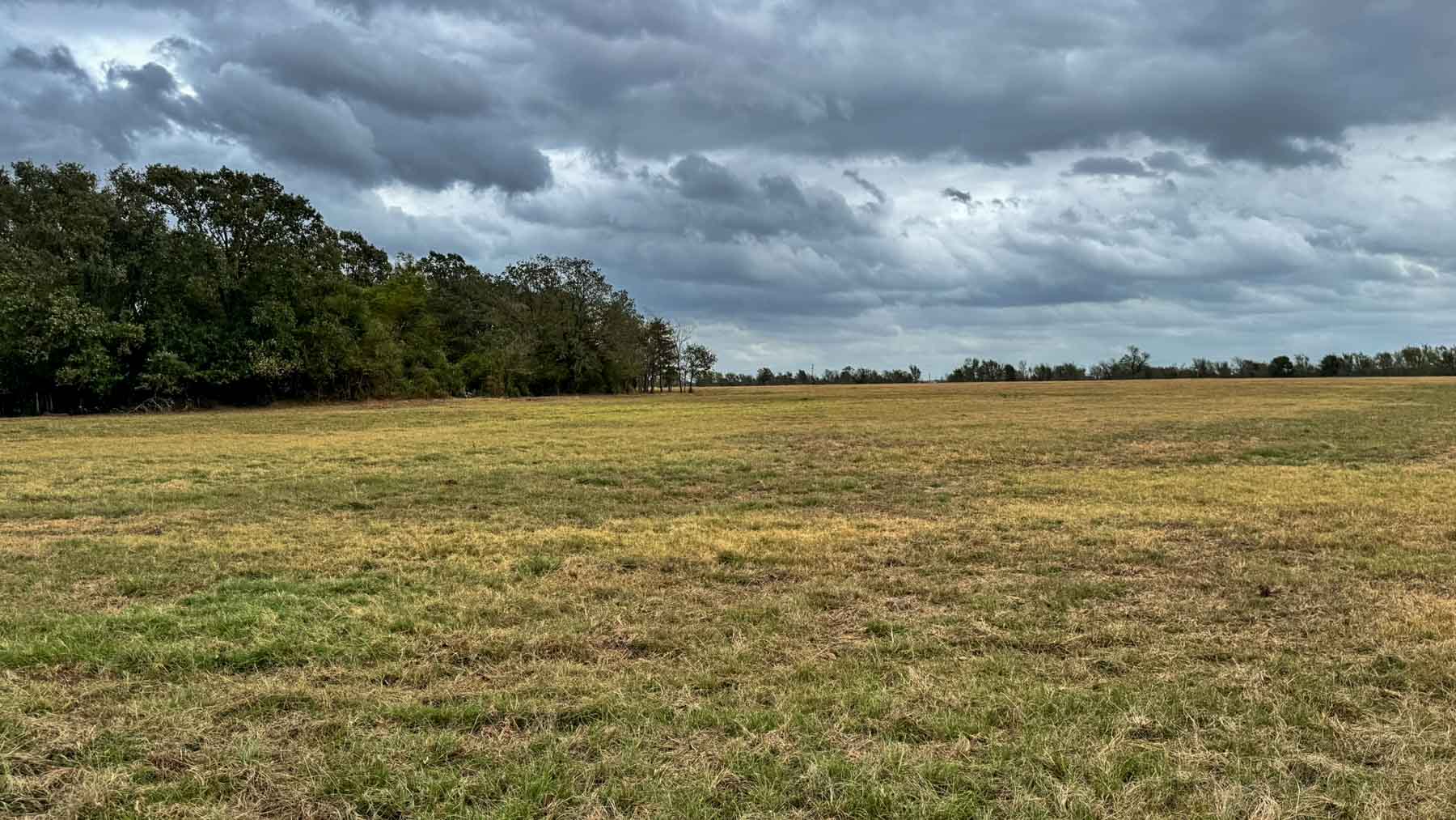 Highway 79 property picture 11 of 15