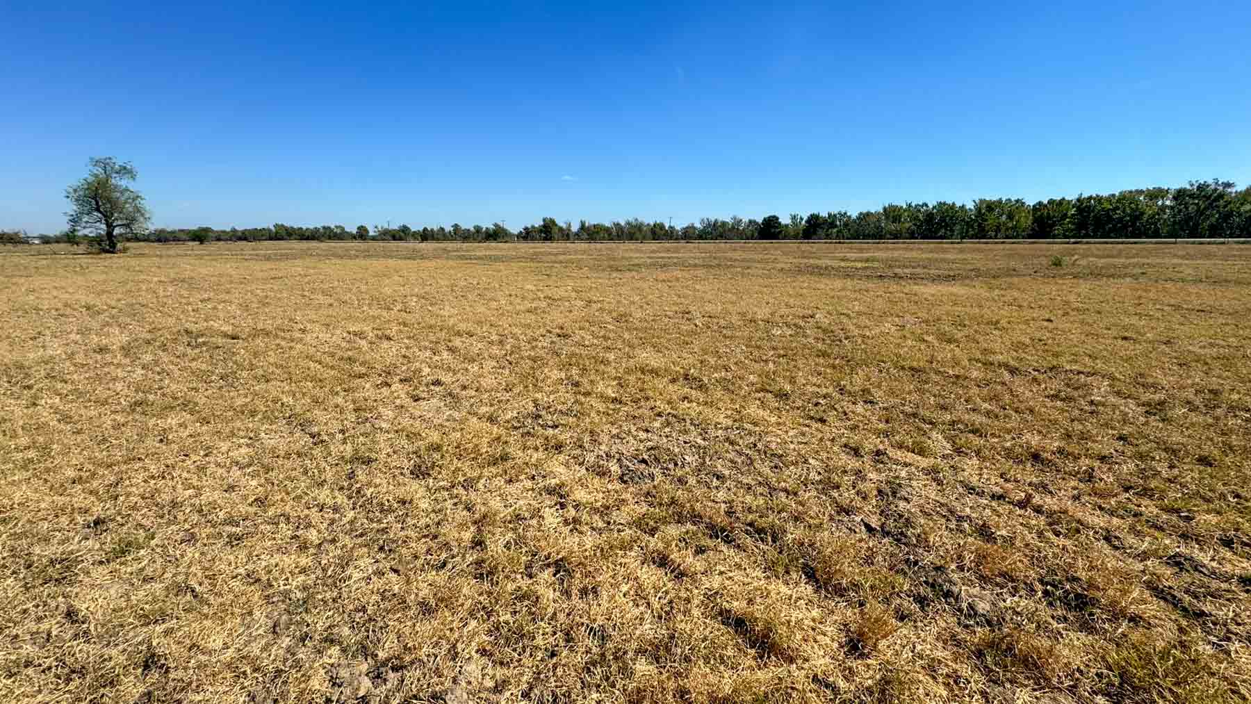 Highway 79 property picture 3 of 15