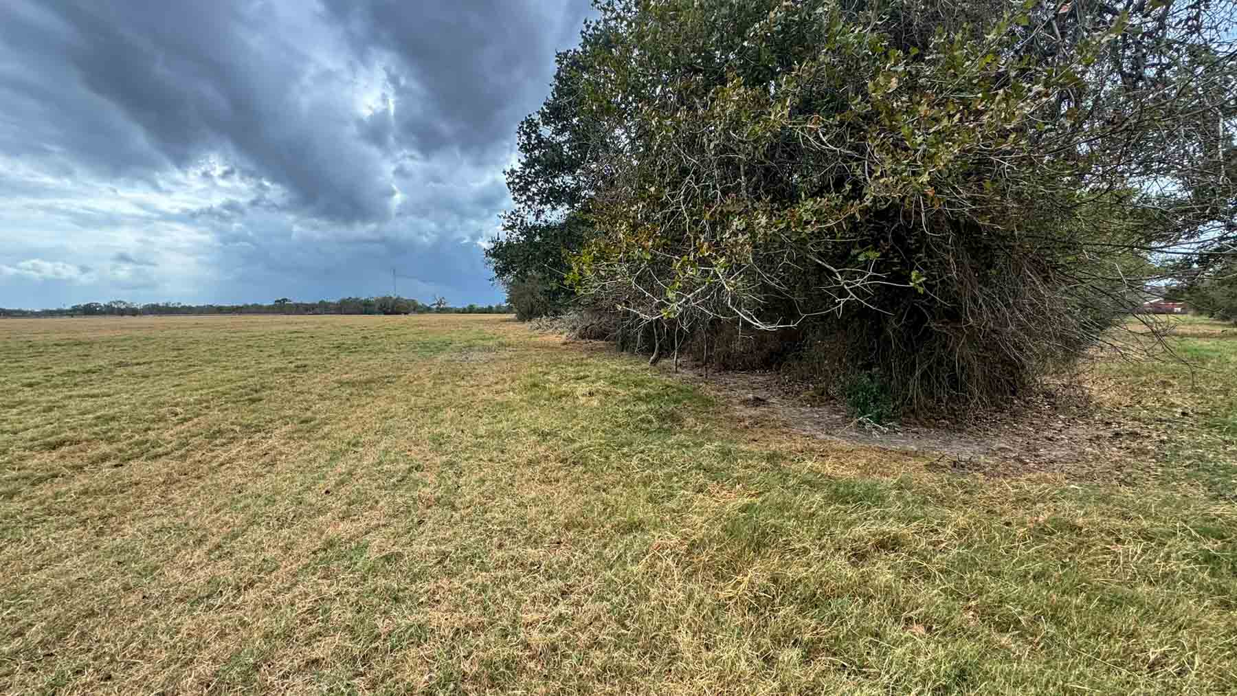 Highway 79 property picture 14 of 15