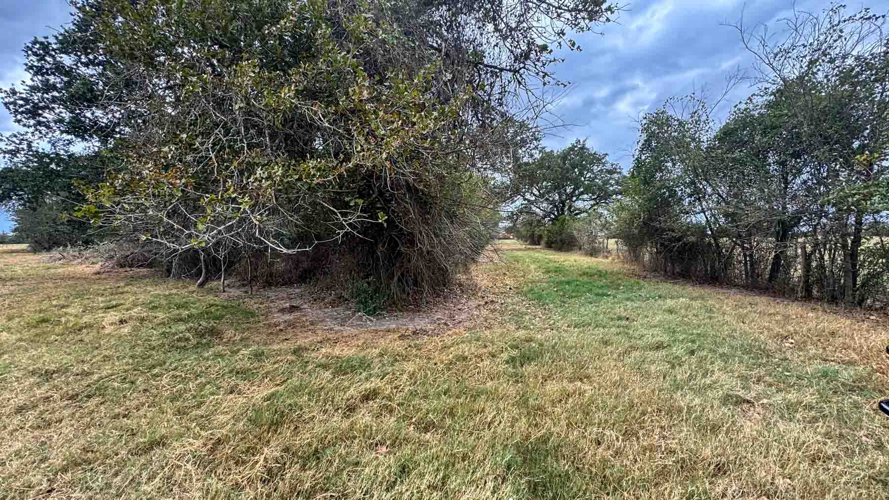 Highway 79 property picture 10 of 15