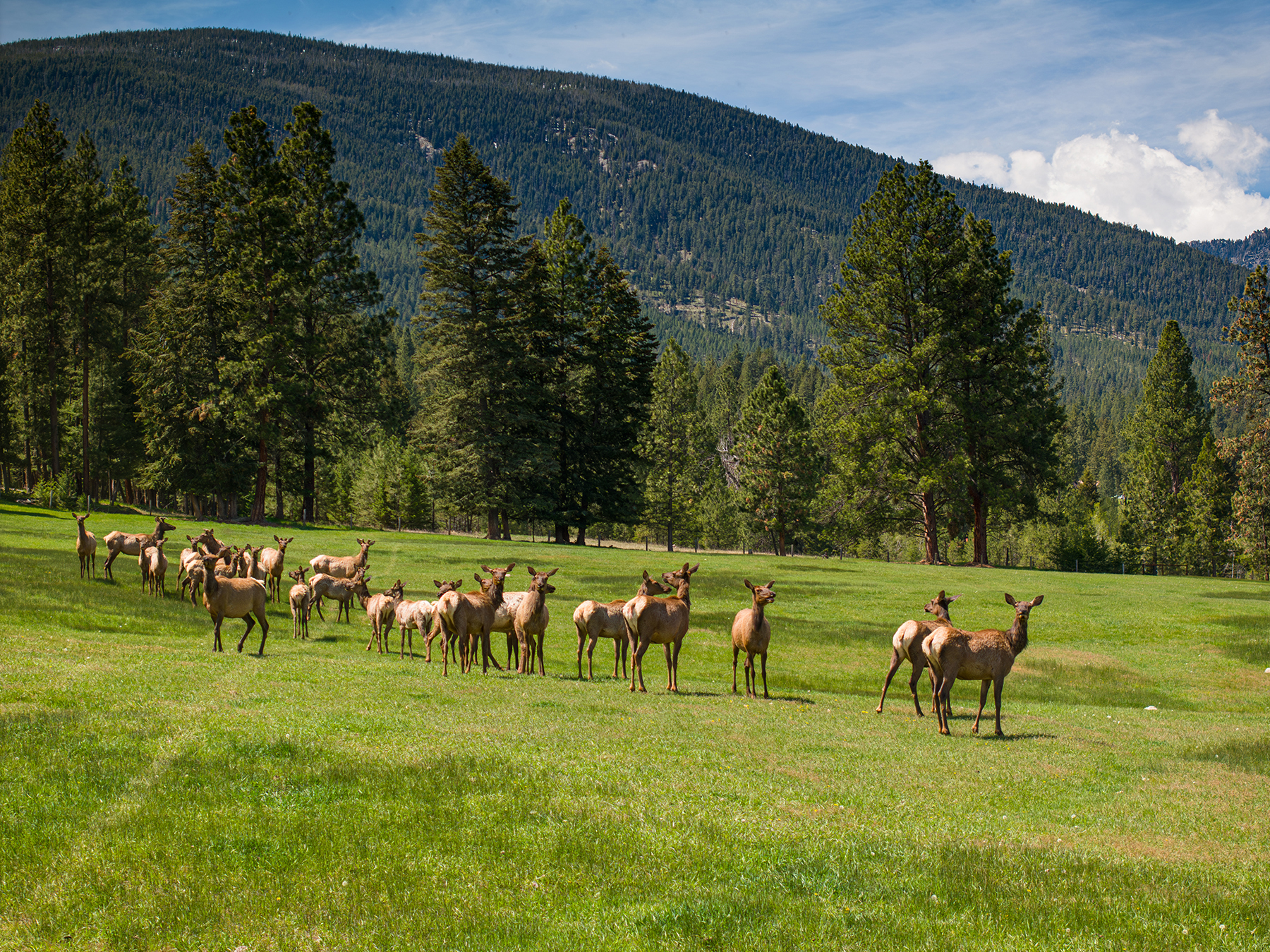 Two Feathers Ranch property picture 59 of 101