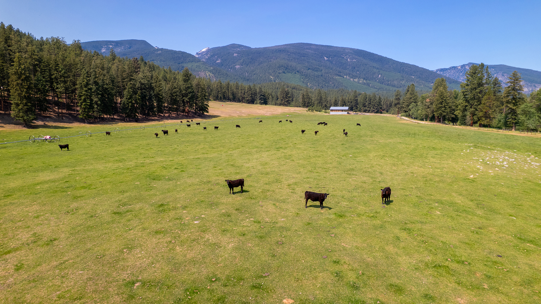 Two Feathers Ranch property picture 6 of 89