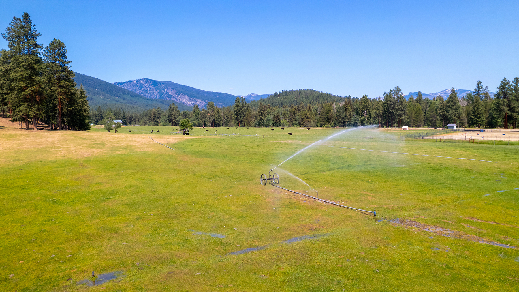 Two Feathers Ranch property picture 62 of 101