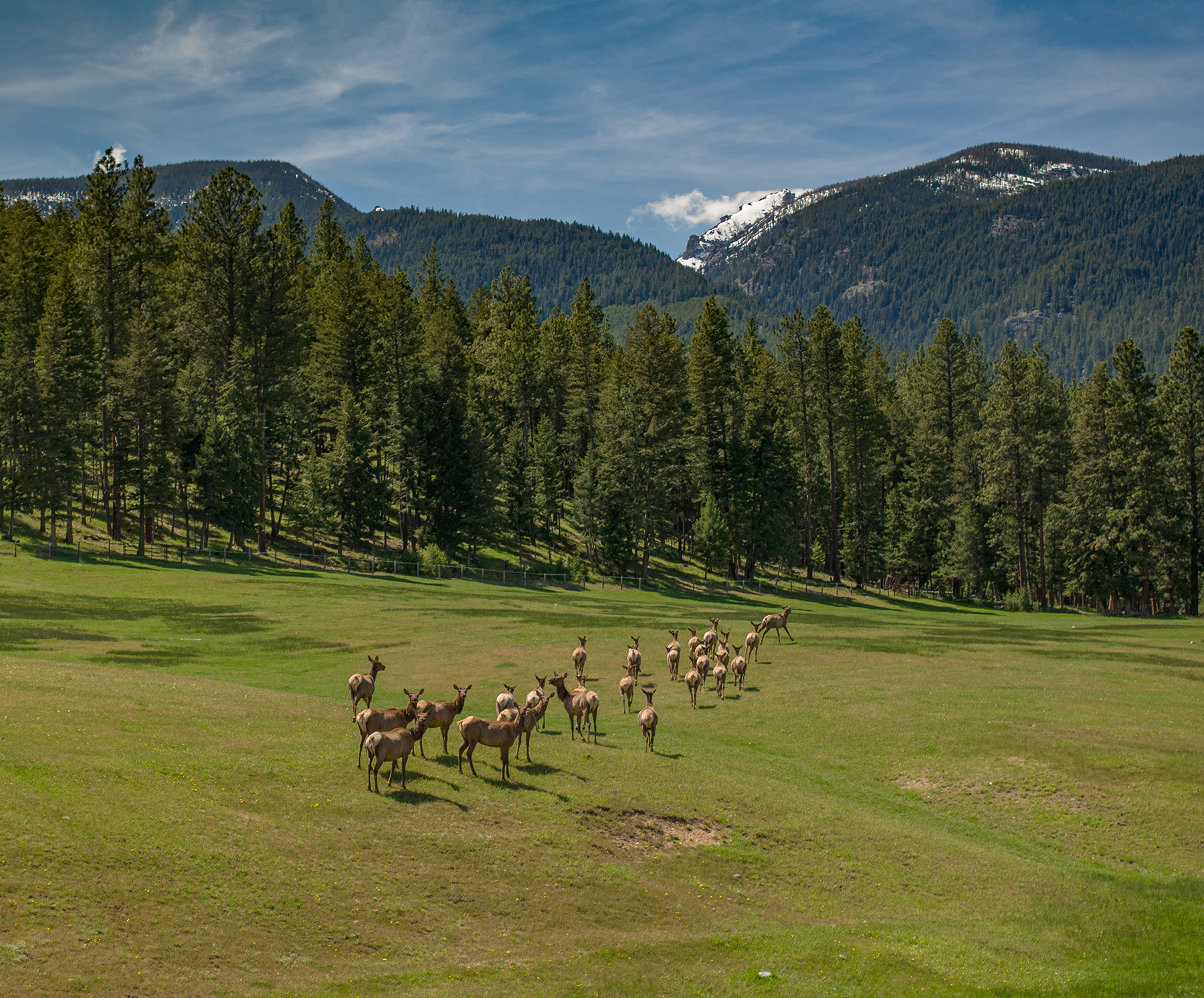 Two Feathers Ranch property picture 8 of 101