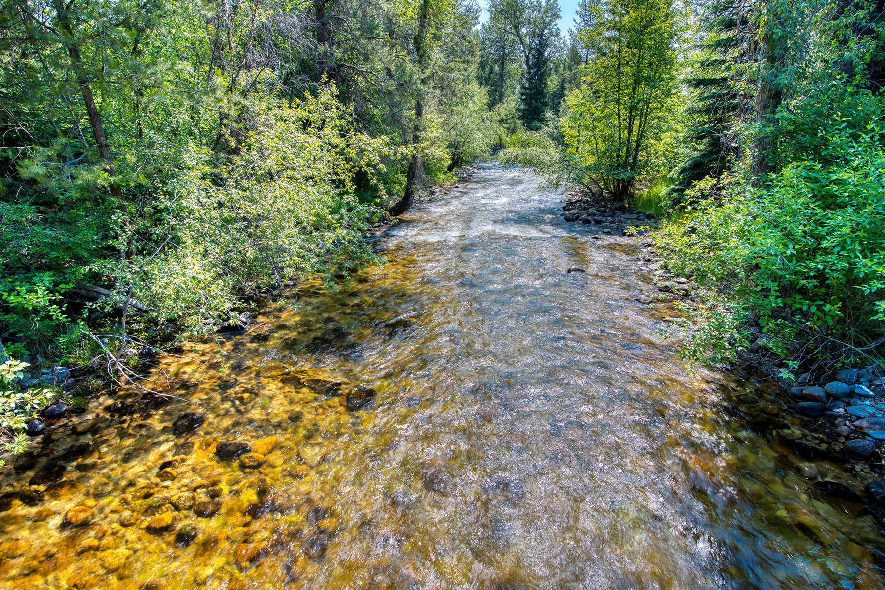 Two Feathers Ranch property picture 55 of 89
