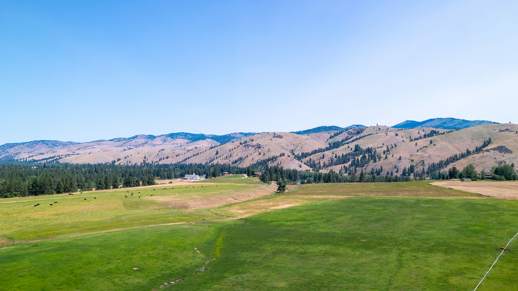 Two Feathers Ranch property picture 2 of 89