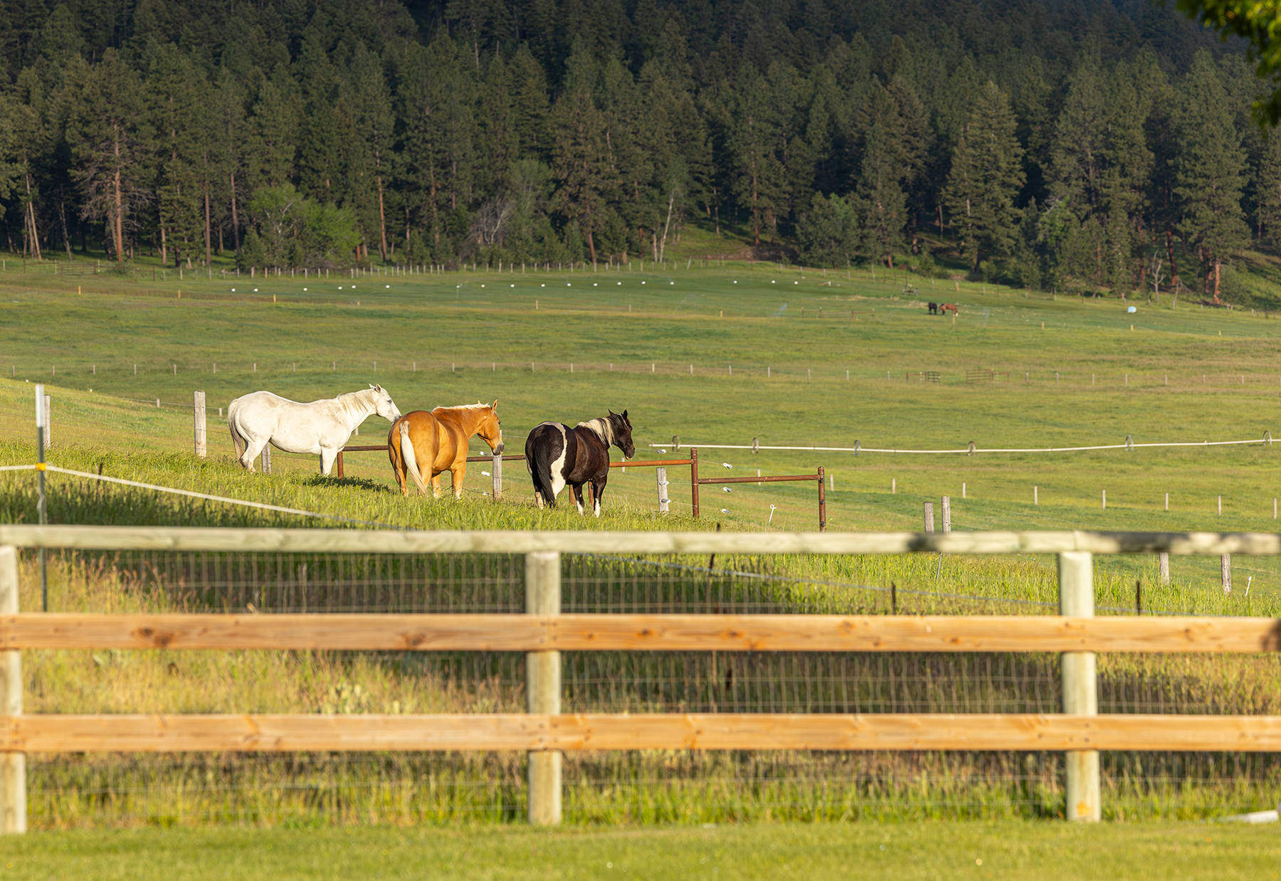 Two Feathers Ranch property picture 76 of 101