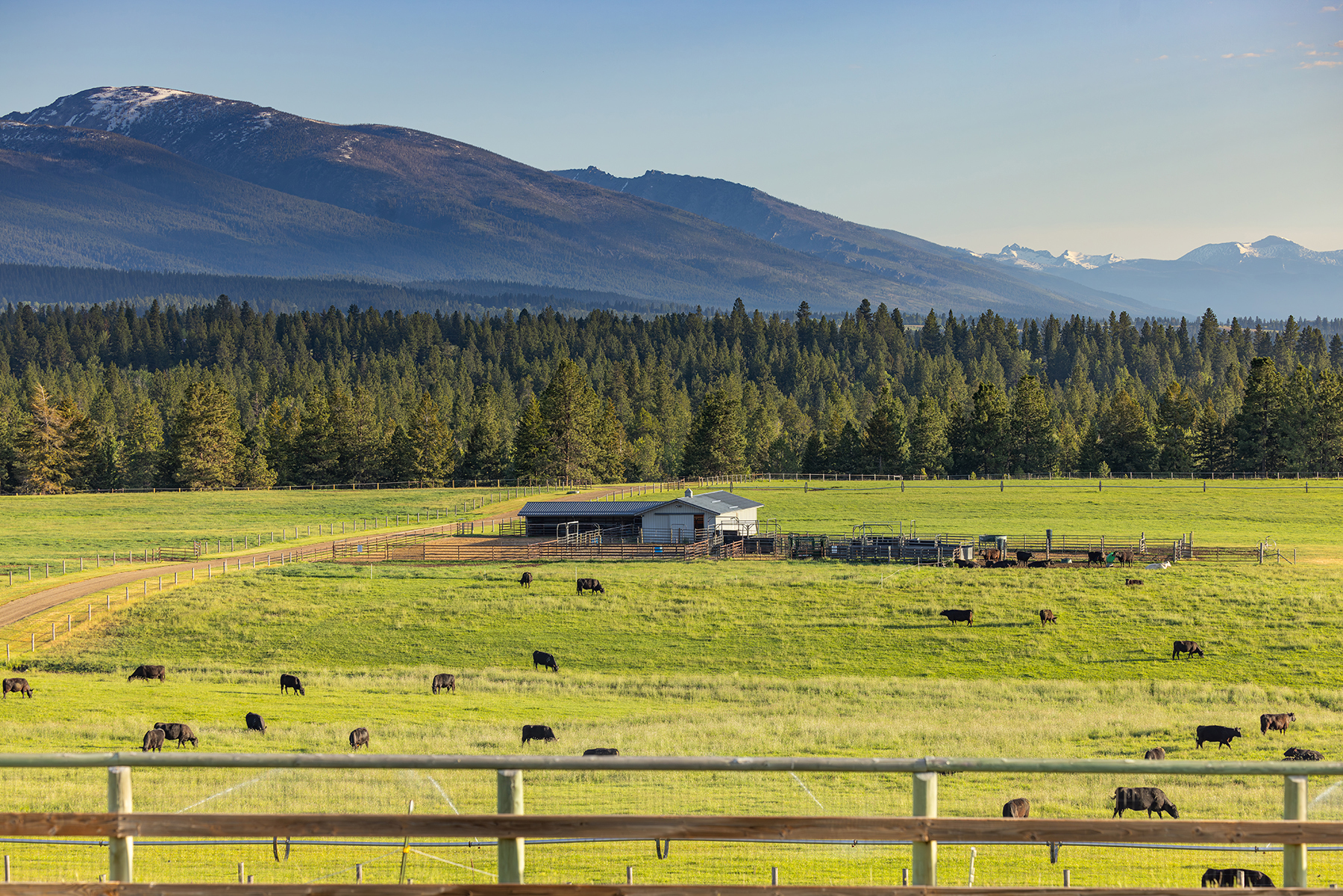 Two Feathers Ranch property picture 98 of 101