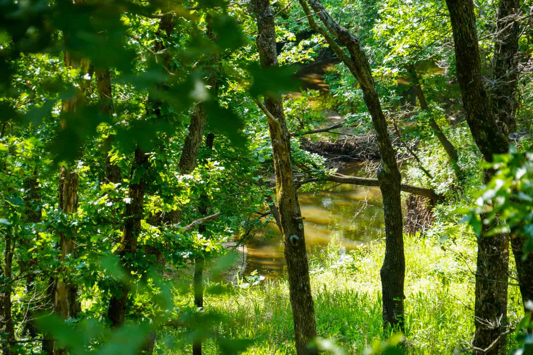 EE Ranch property picture 37 of 64