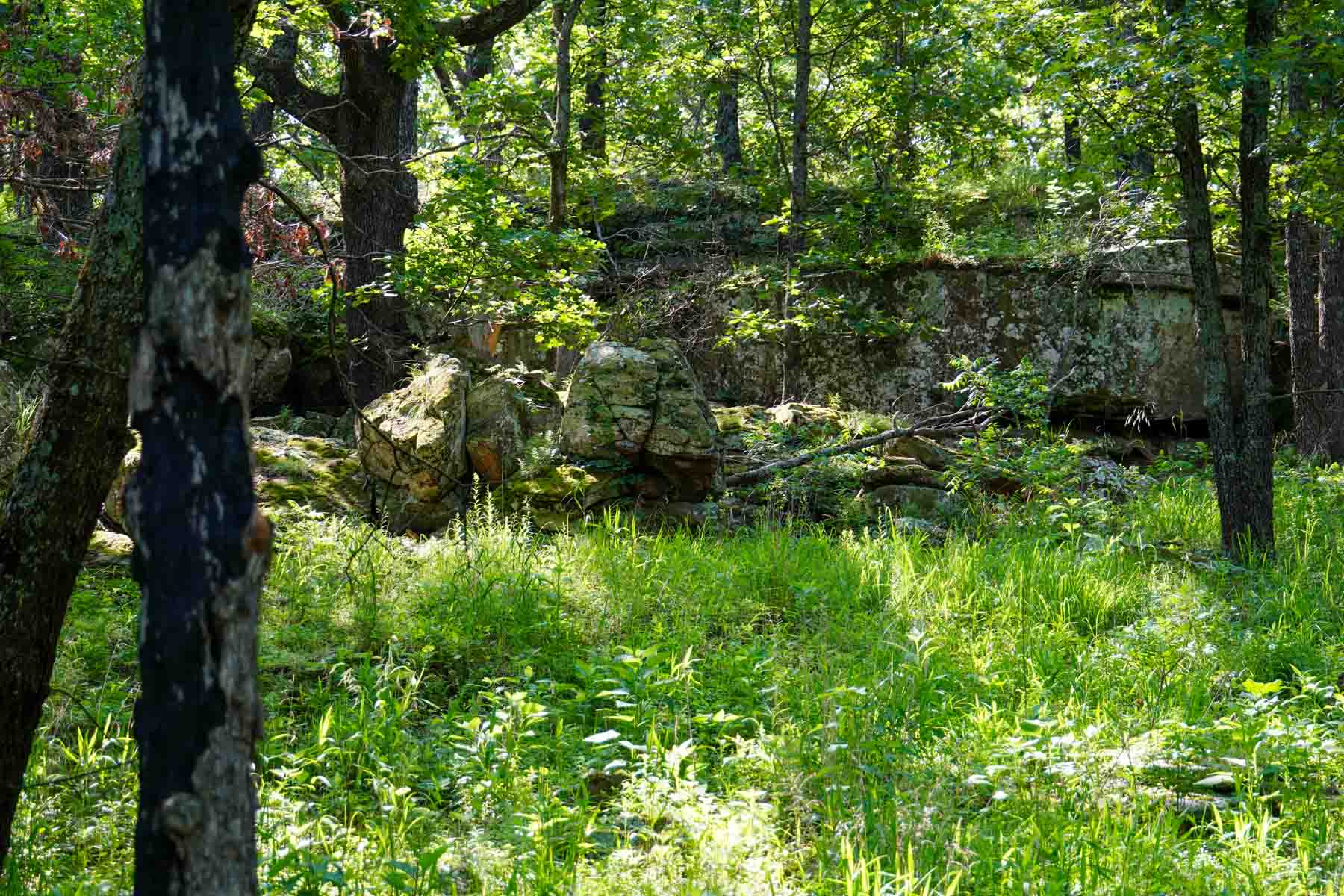 EE Ranch property picture 35 of 64