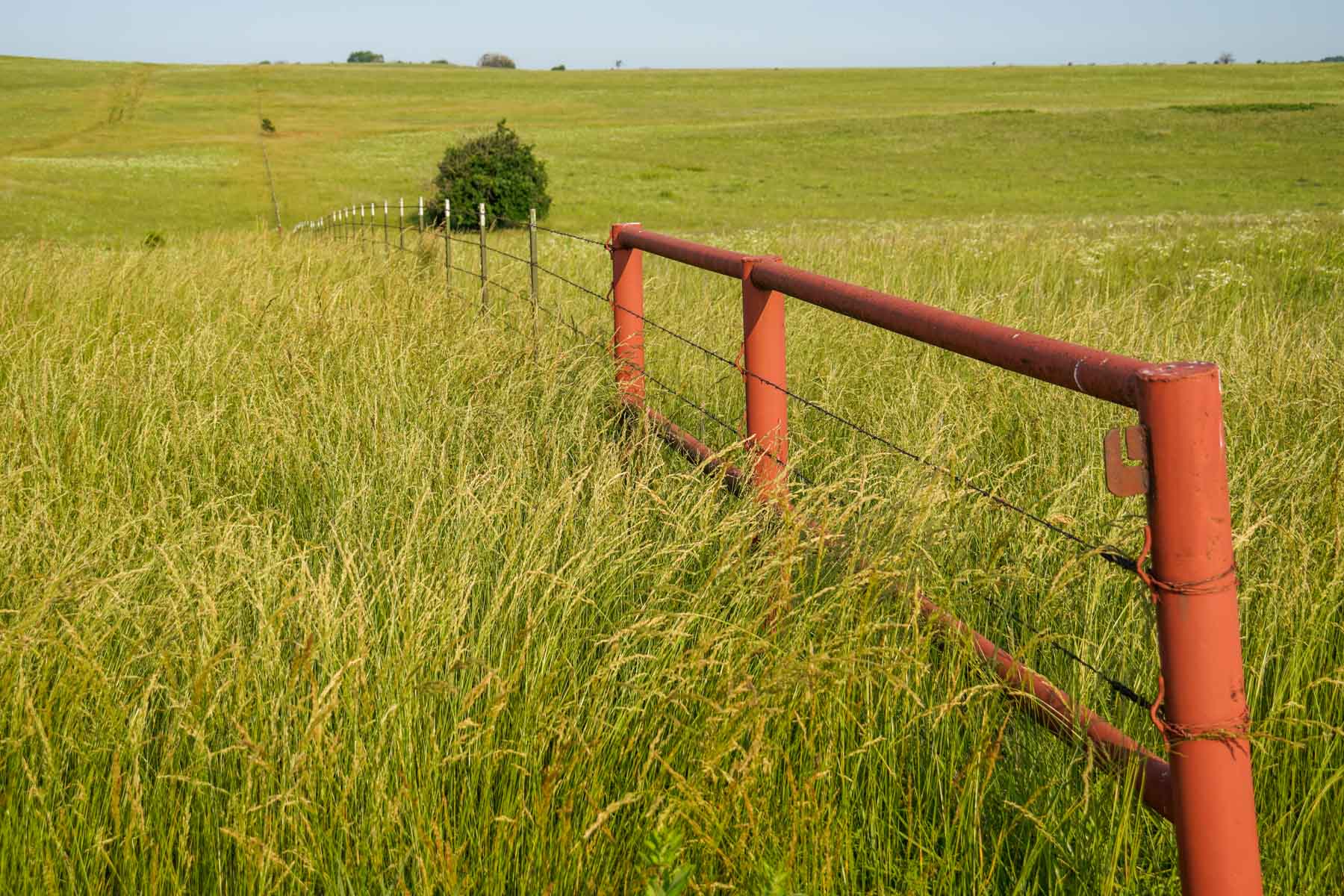 EE Ranch property picture 51 of 64