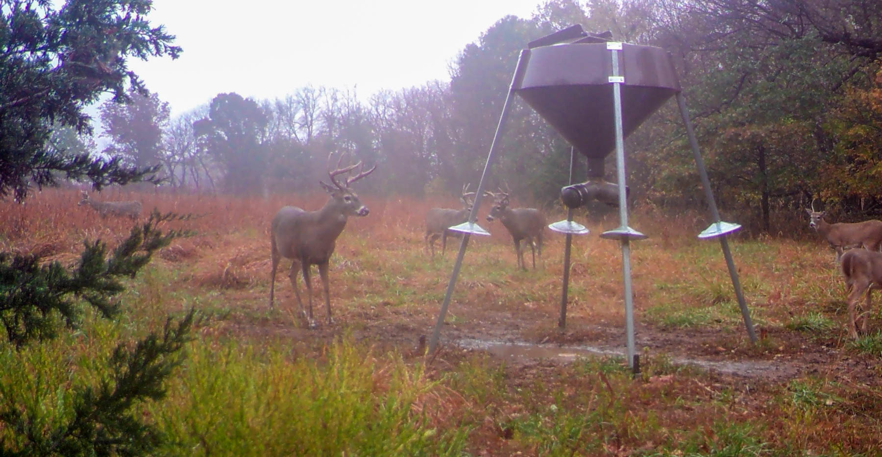 EE Ranch property picture 39 of 64