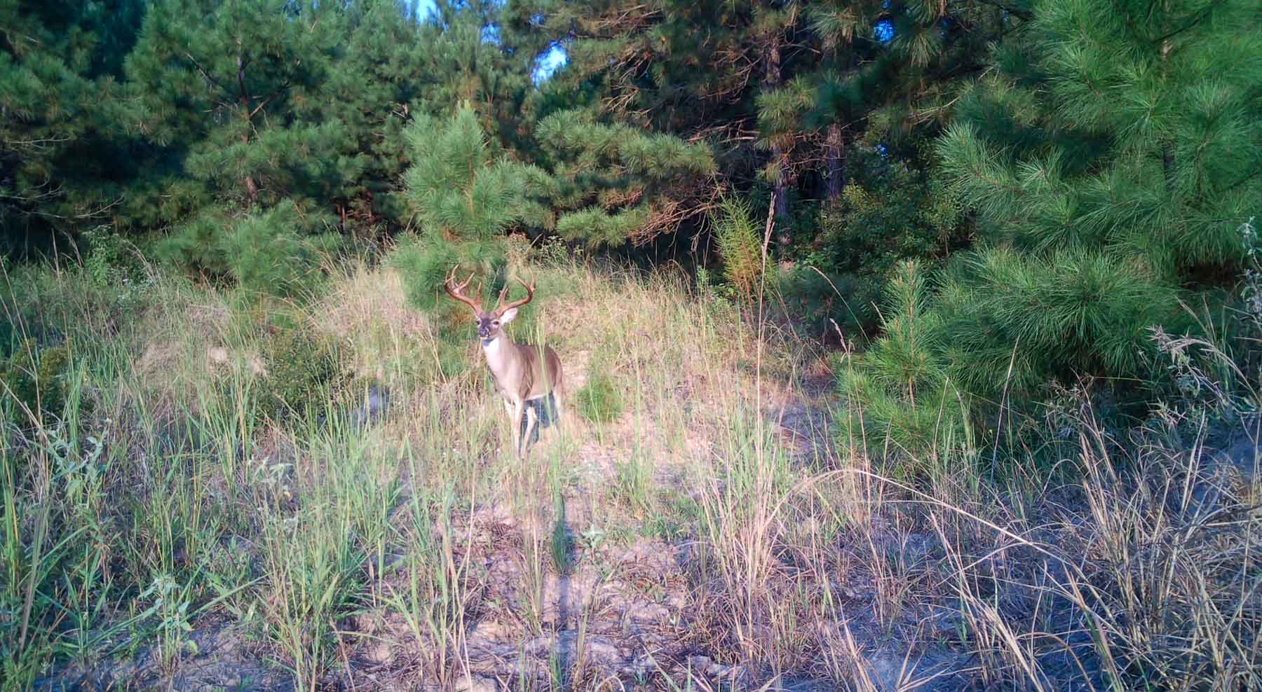 Bobcat Ridge Ranch property picture 93 of 99