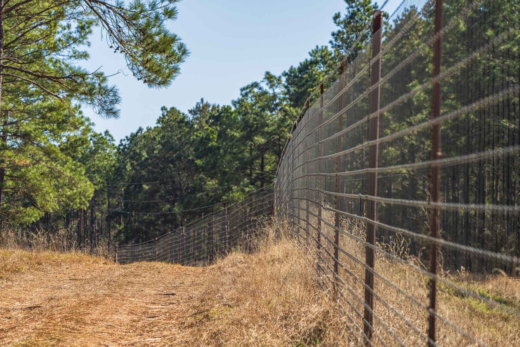 Bobcat Ridge Ranch property picture 4 of 99