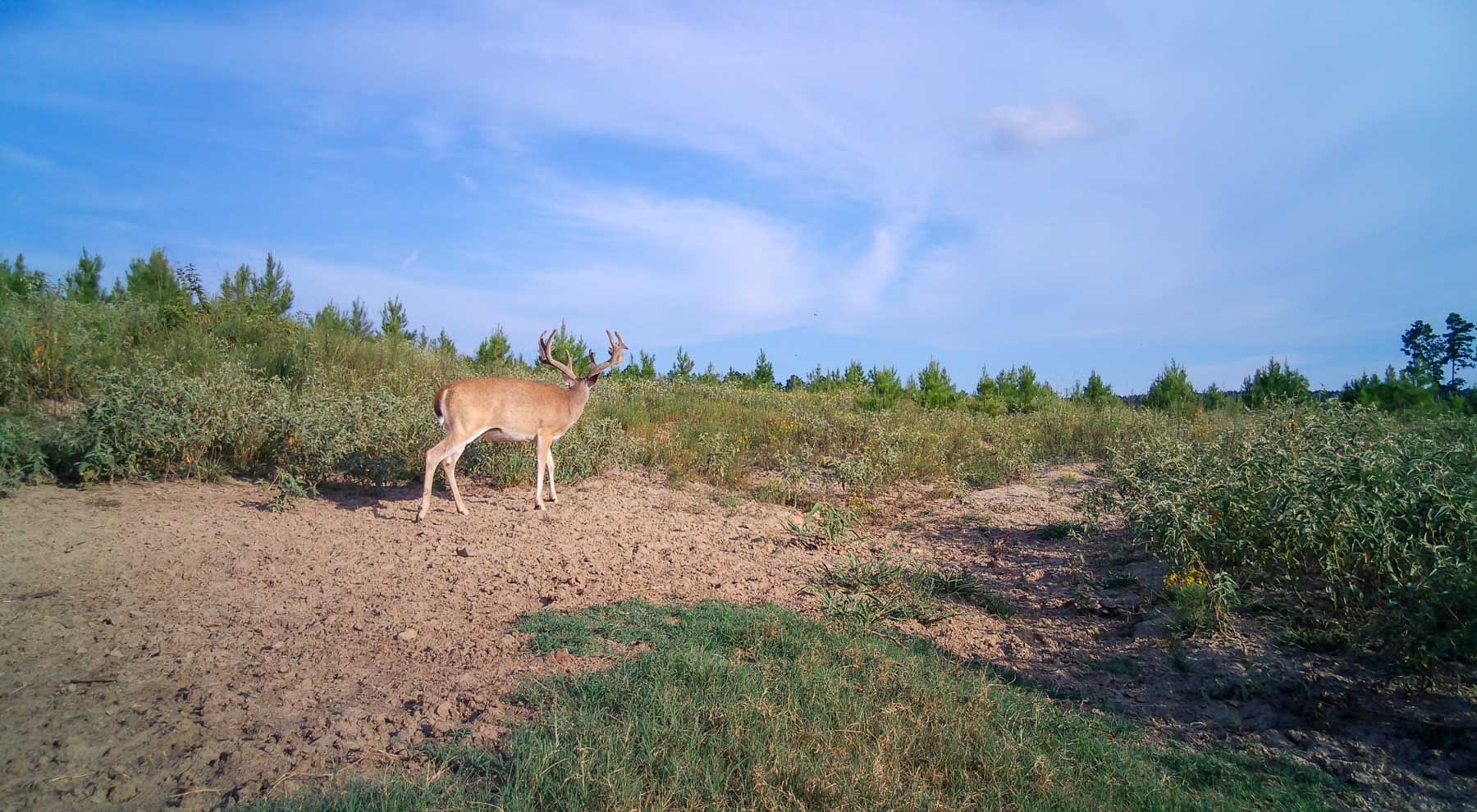 Bobcat Ridge Ranch property picture 72 of 99