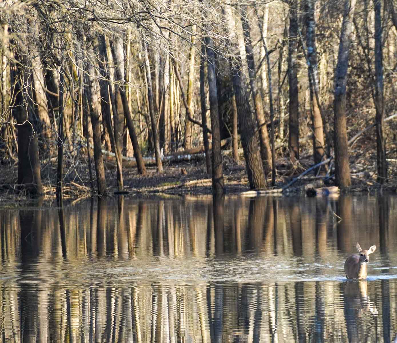 Bobcat Ridge Ranch property picture 51 of 99
