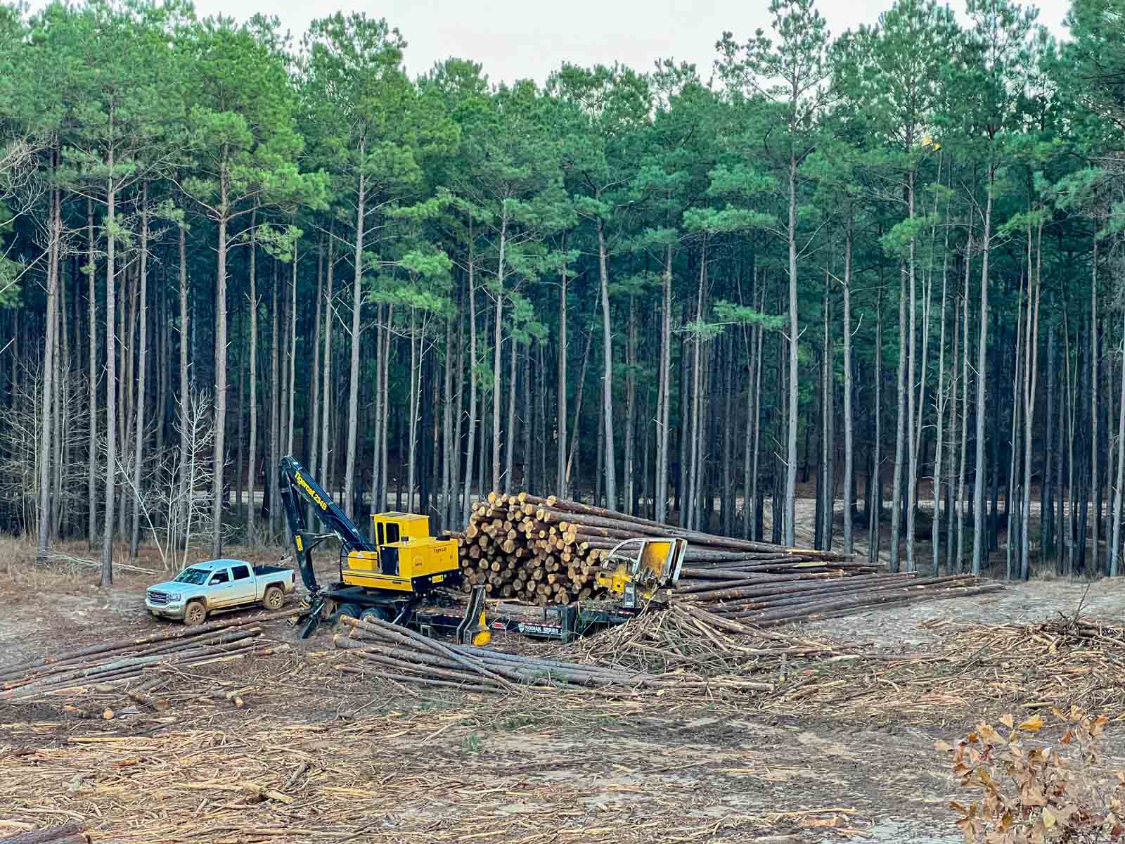 Bobcat Ridge Ranch property picture 55 of 99