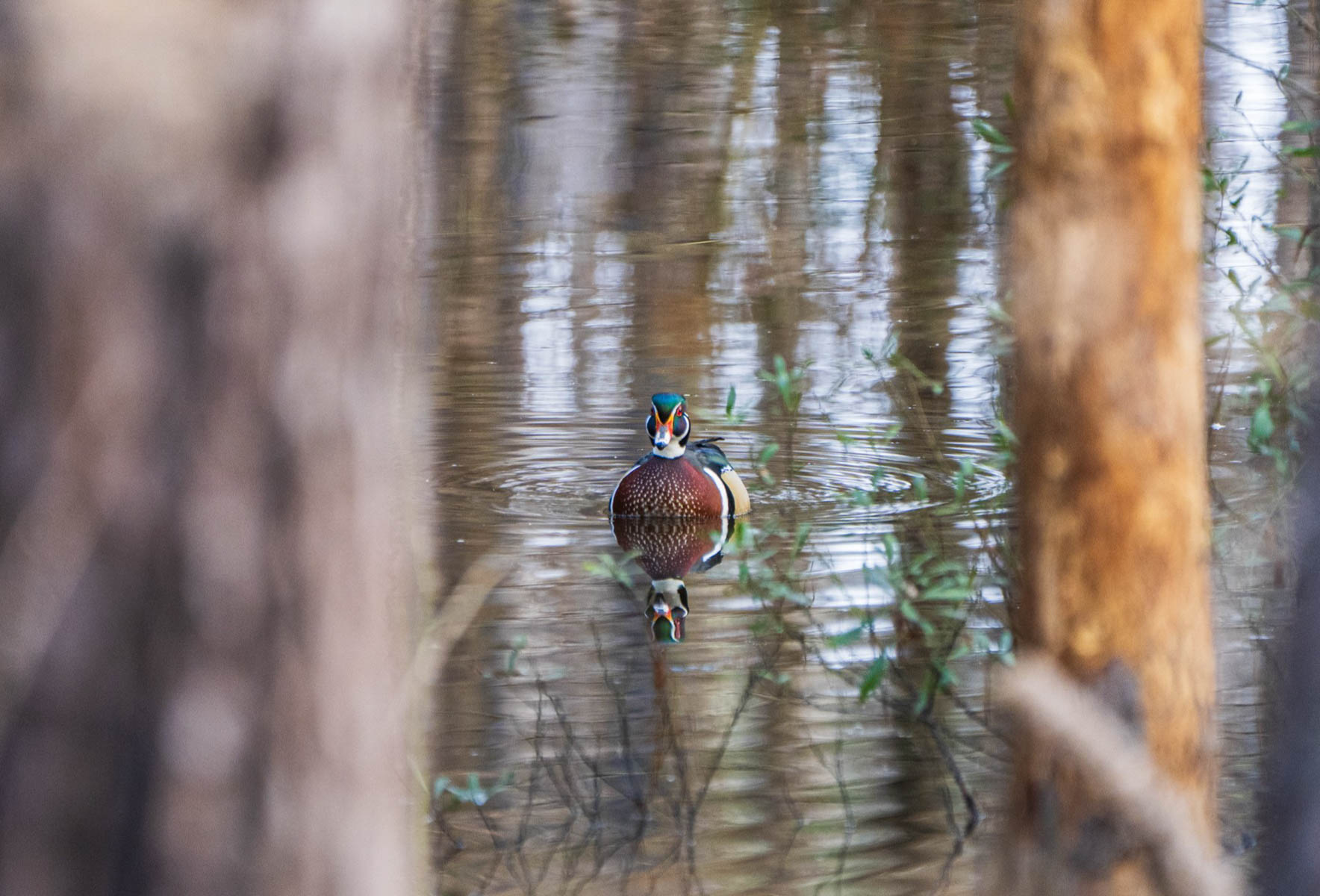 Bobcat Ridge Ranch property picture 47 of 99