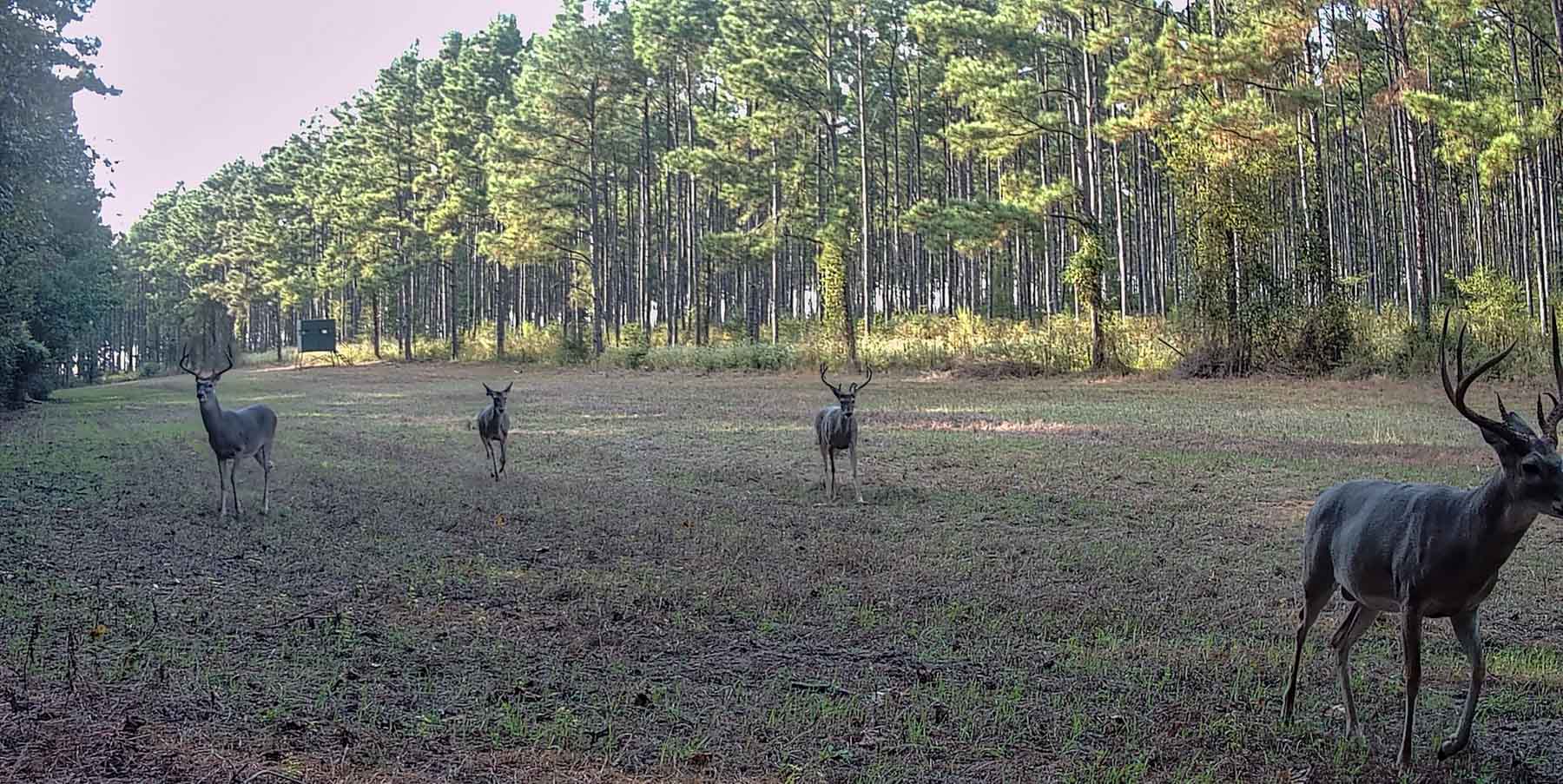 Bobcat Ridge Ranch property picture 94 of 99