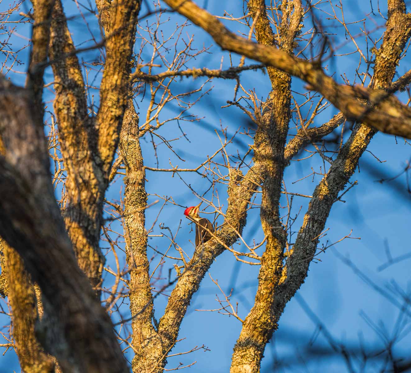 Bobcat Ridge Ranch property picture 25 of 99