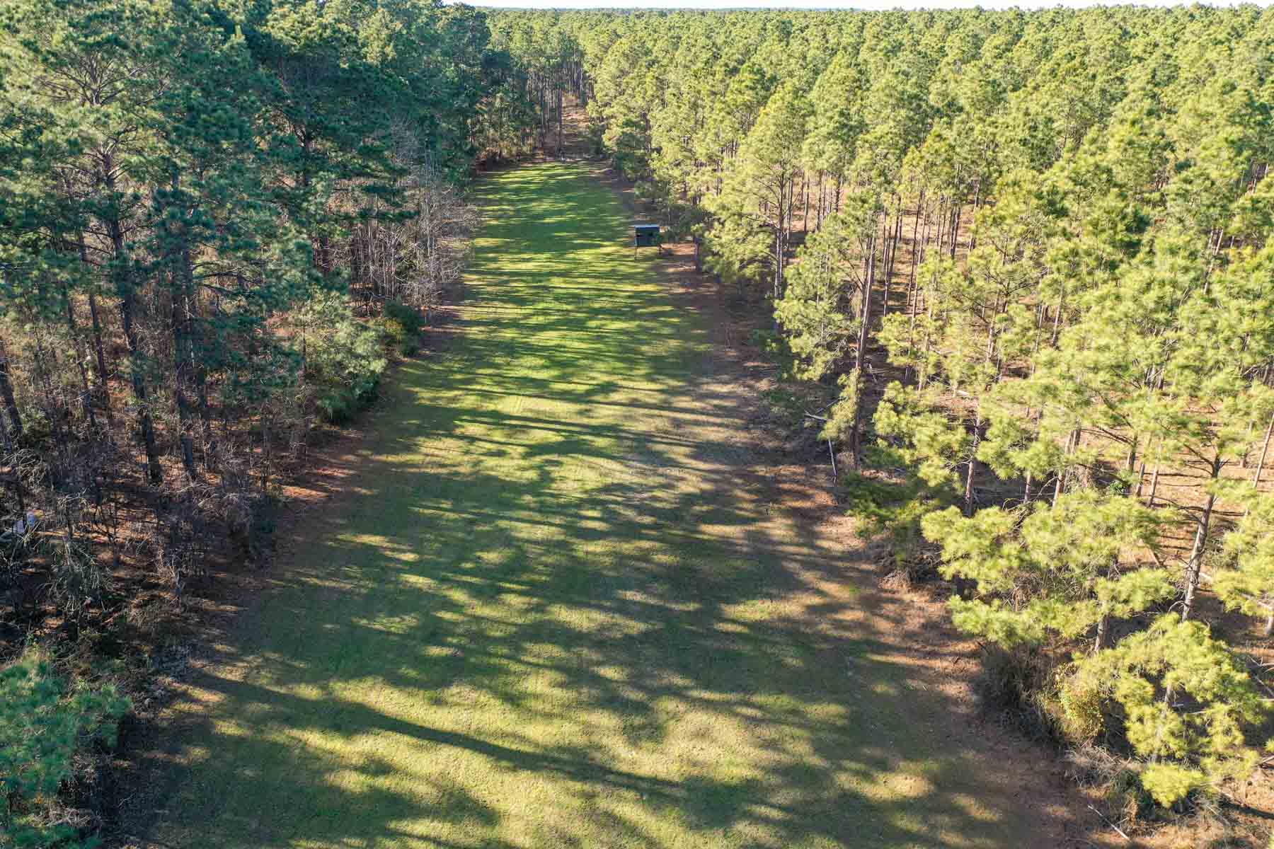 Bobcat Ridge Ranch property picture 14 of 99