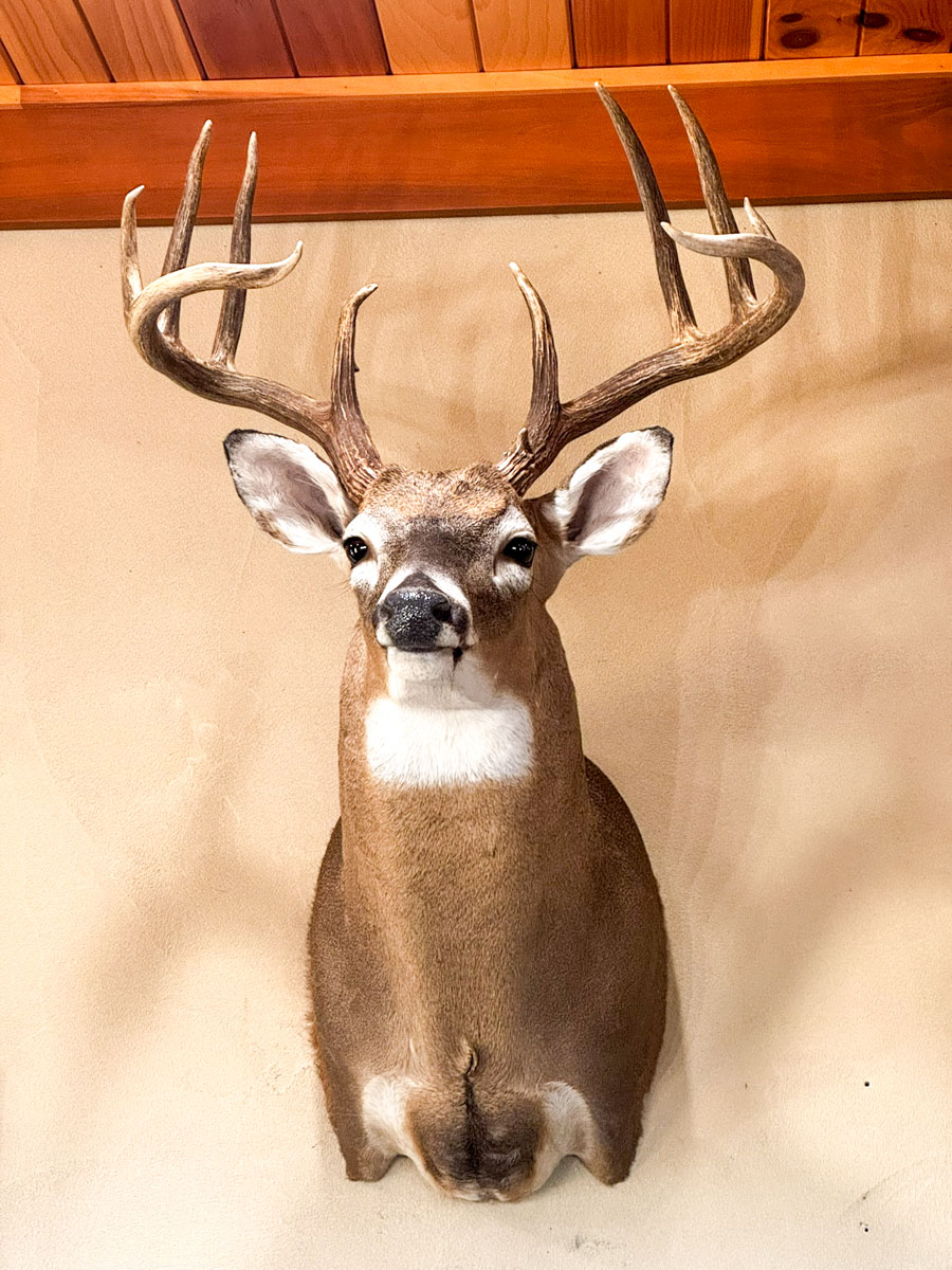 Bobcat Ridge Ranch property picture 38 of 99