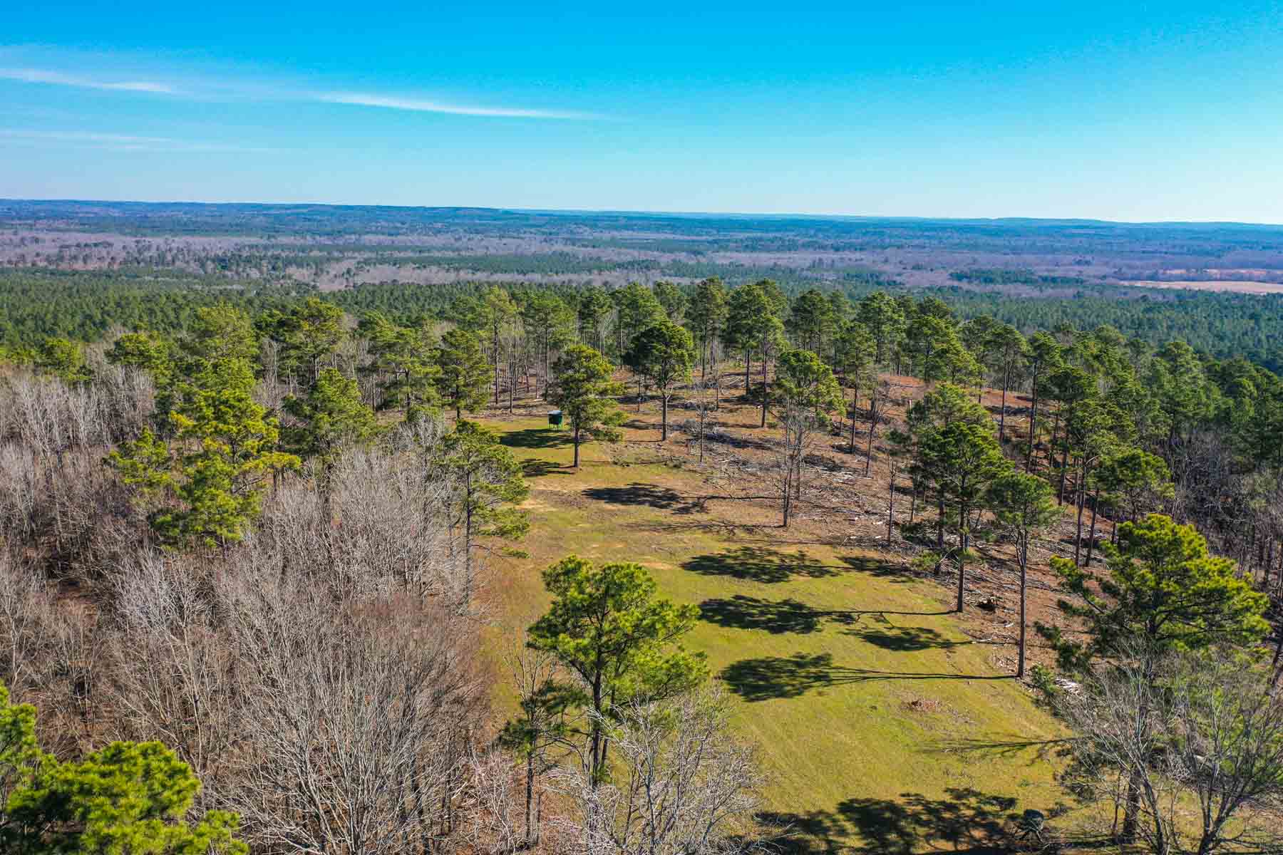 Bobcat Ridge Ranch property picture 22 of 99