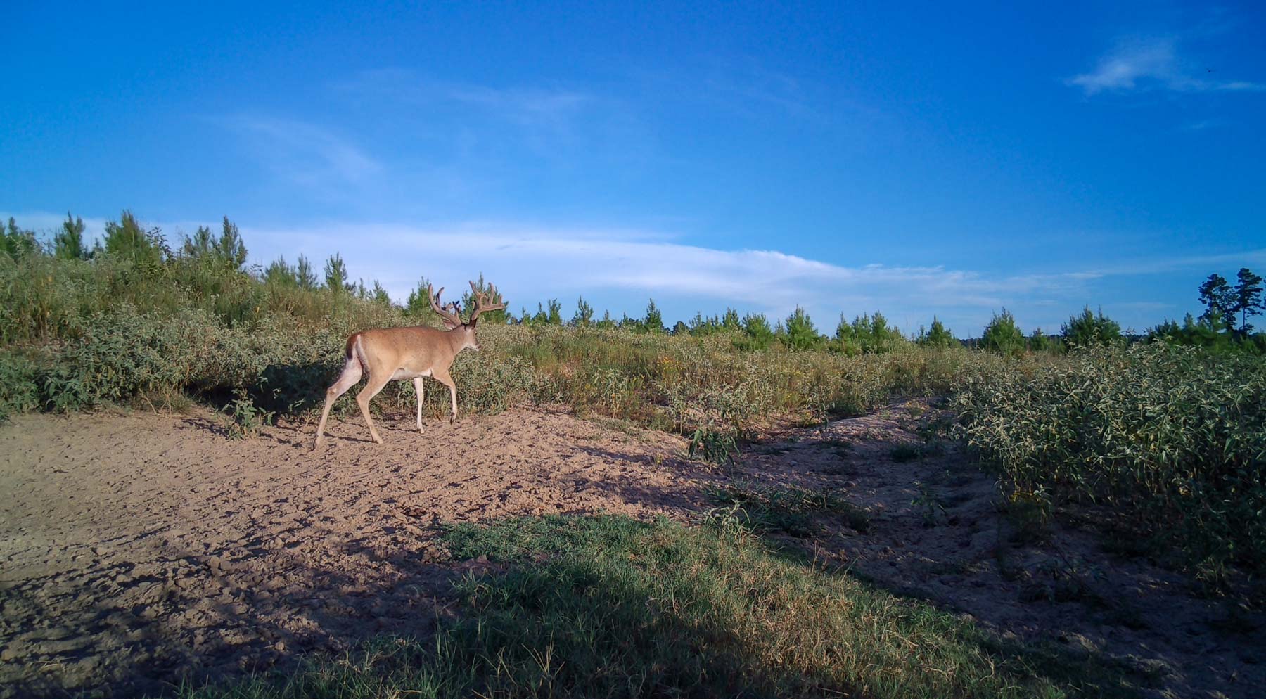 Bobcat Ridge Ranch property picture 75 of 99