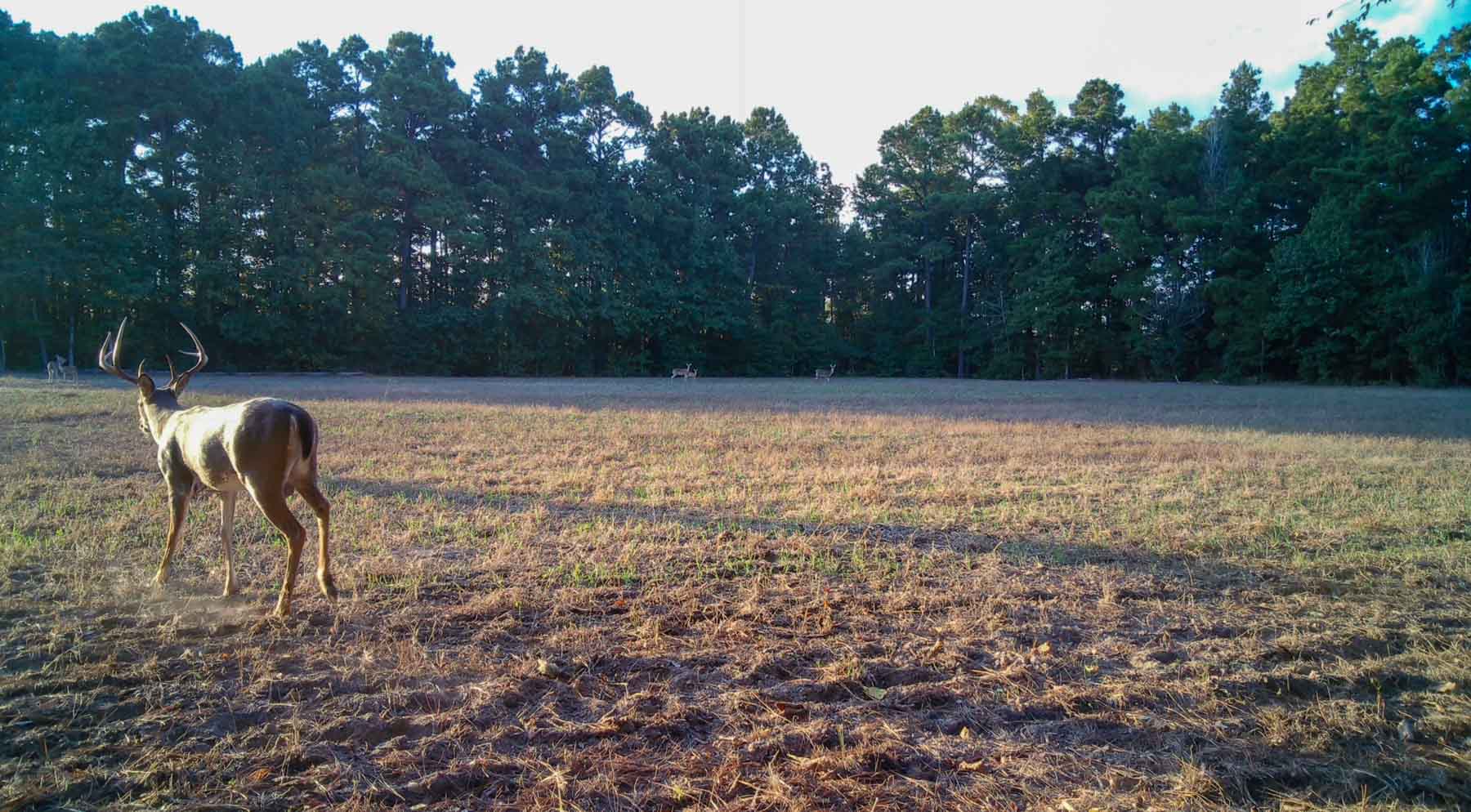 Bobcat Ridge Ranch property picture 97 of 99