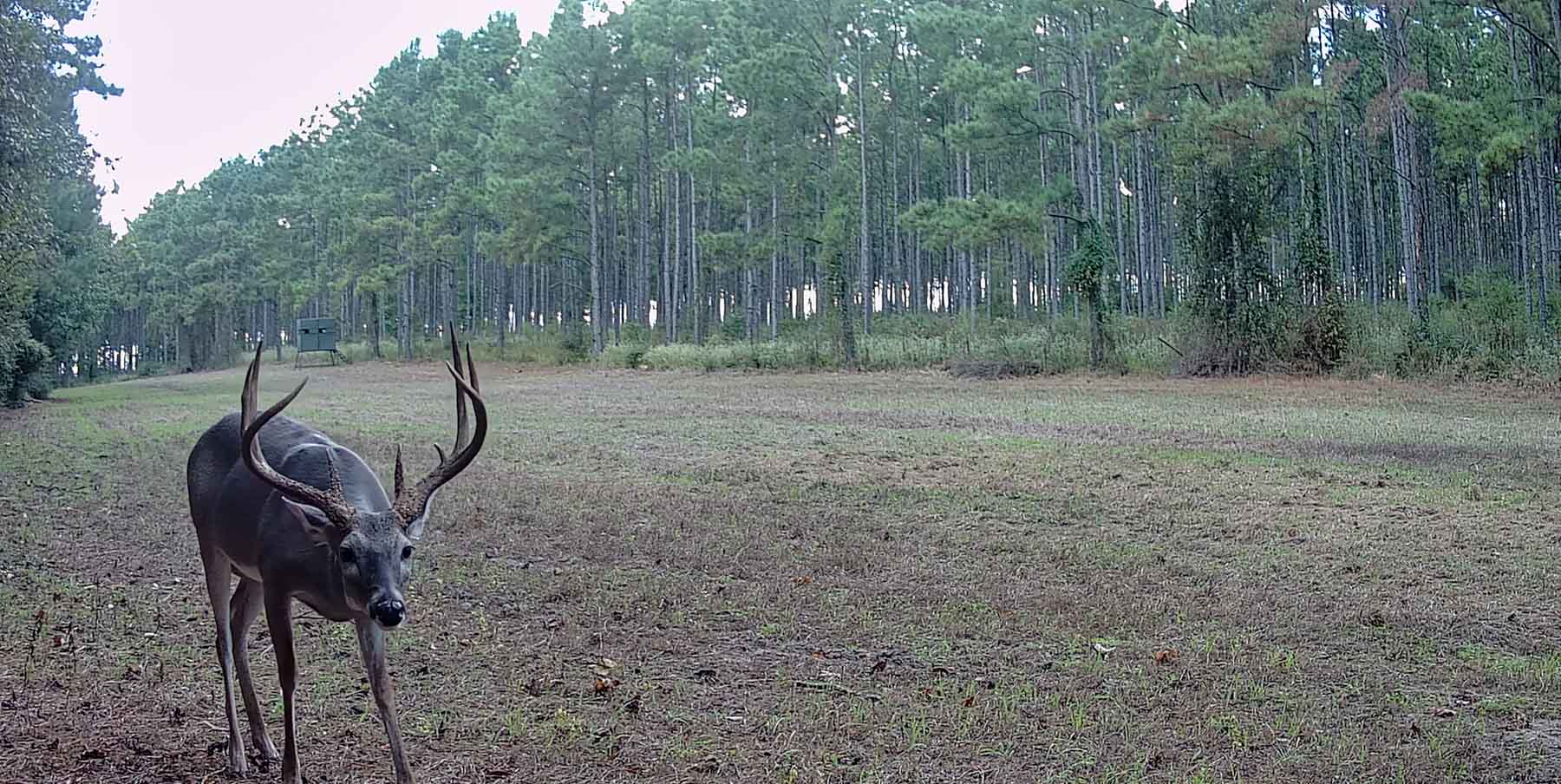 Bobcat Ridge Ranch property picture 96 of 99