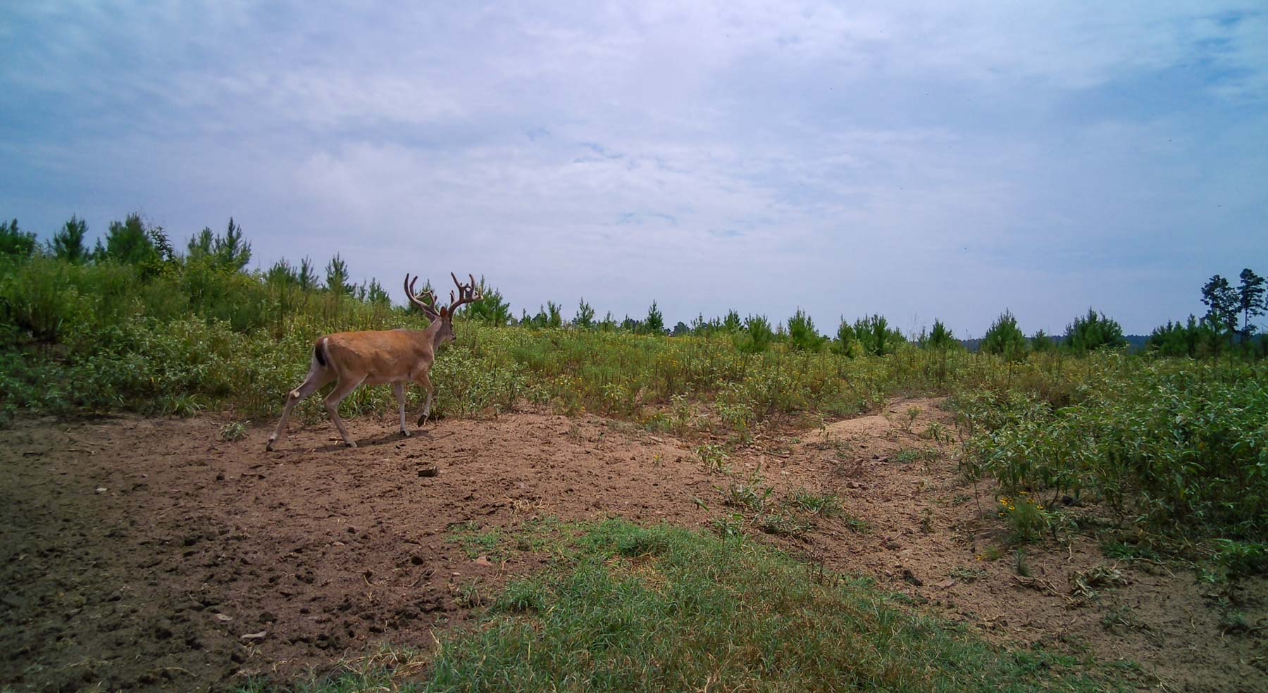 Bobcat Ridge Ranch property picture 66 of 99