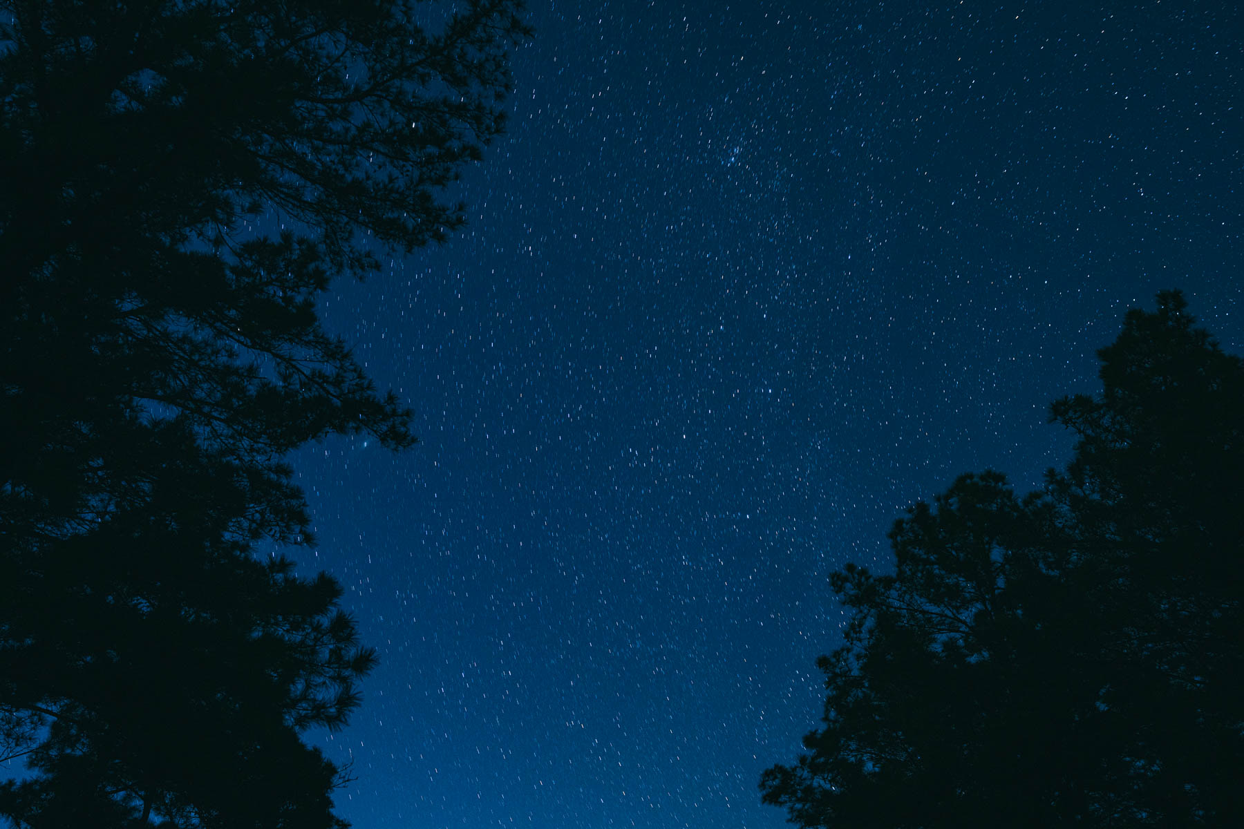 Bobcat Ridge Ranch property picture 44 of 99