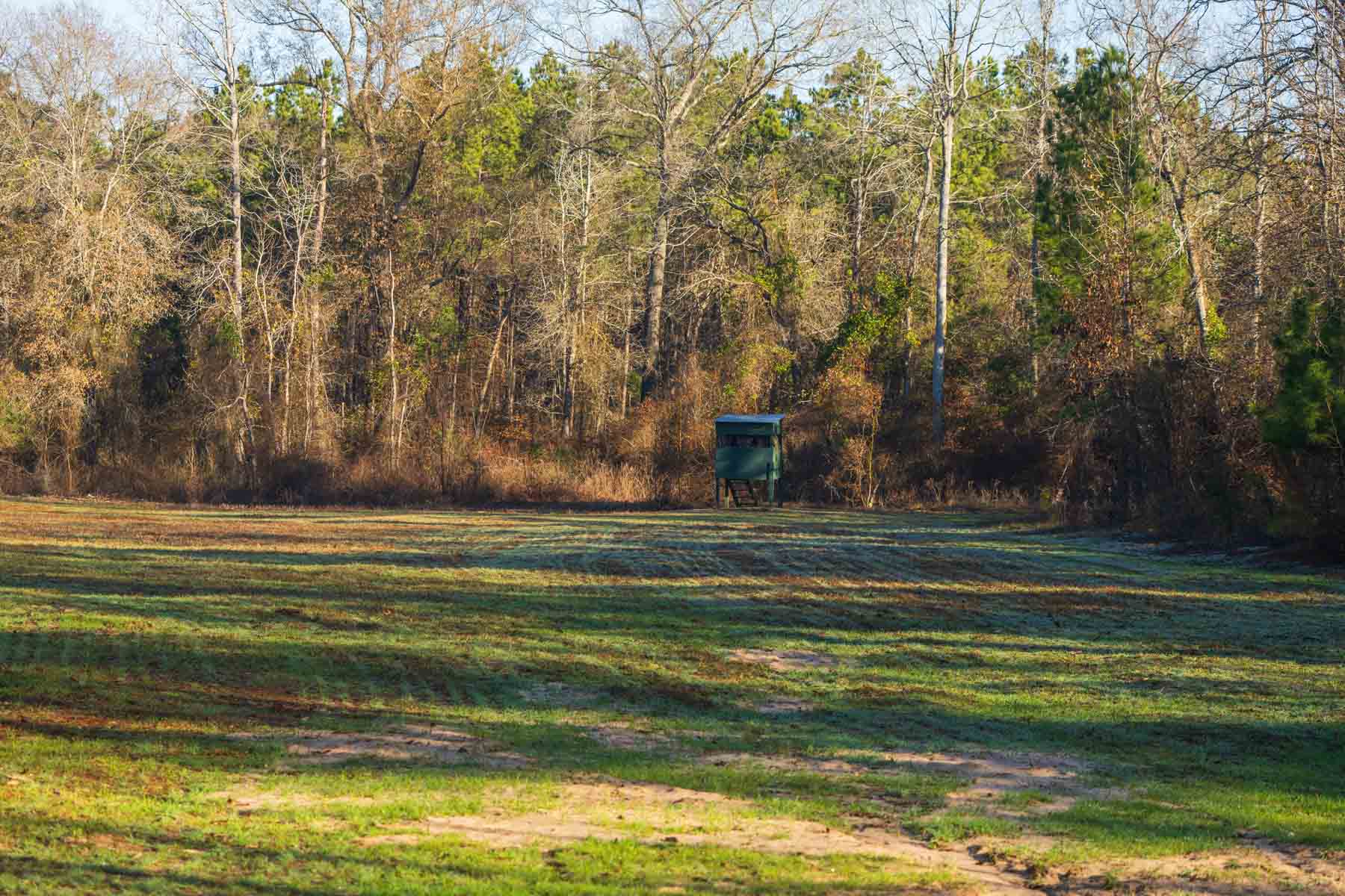 Bobcat Ridge Ranch property picture 16 of 99