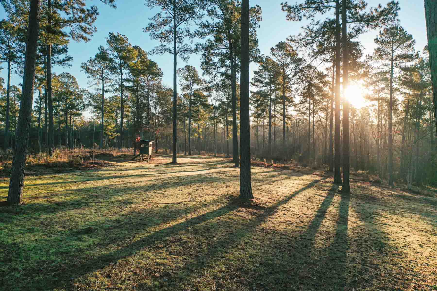 Bobcat Ridge Ranch property picture 2 of 99